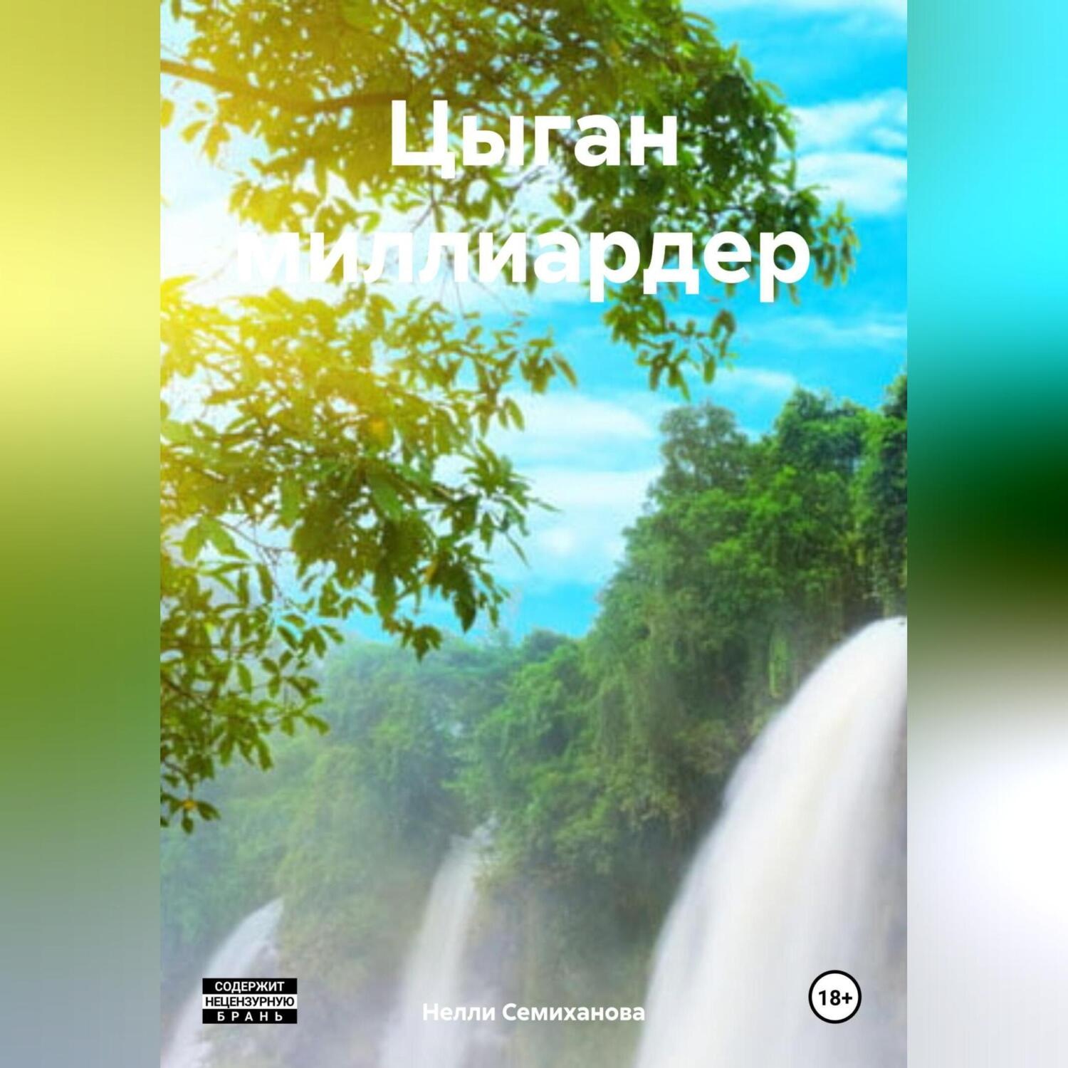 Обложка книги «Цыган миллиардер»