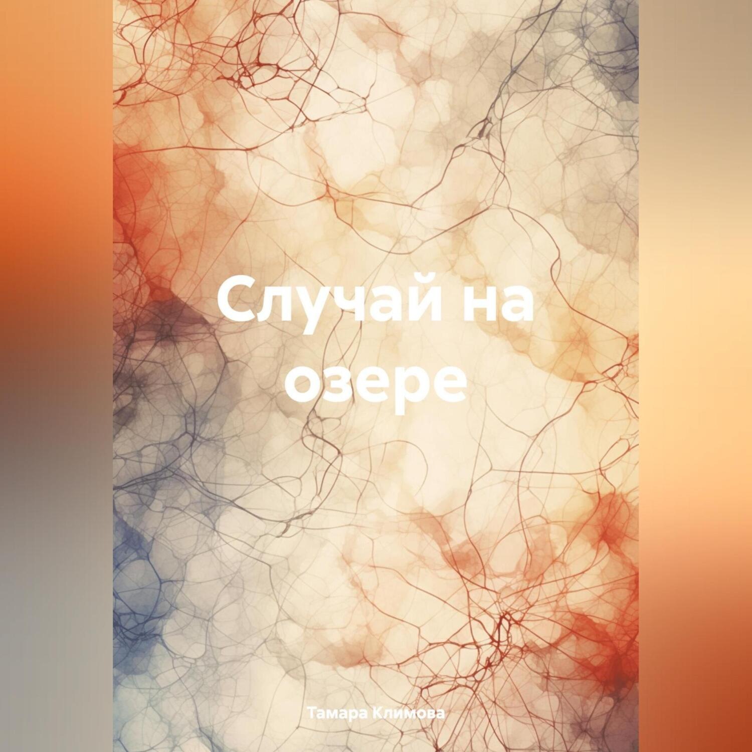 Обложка книги «Случай на озере»