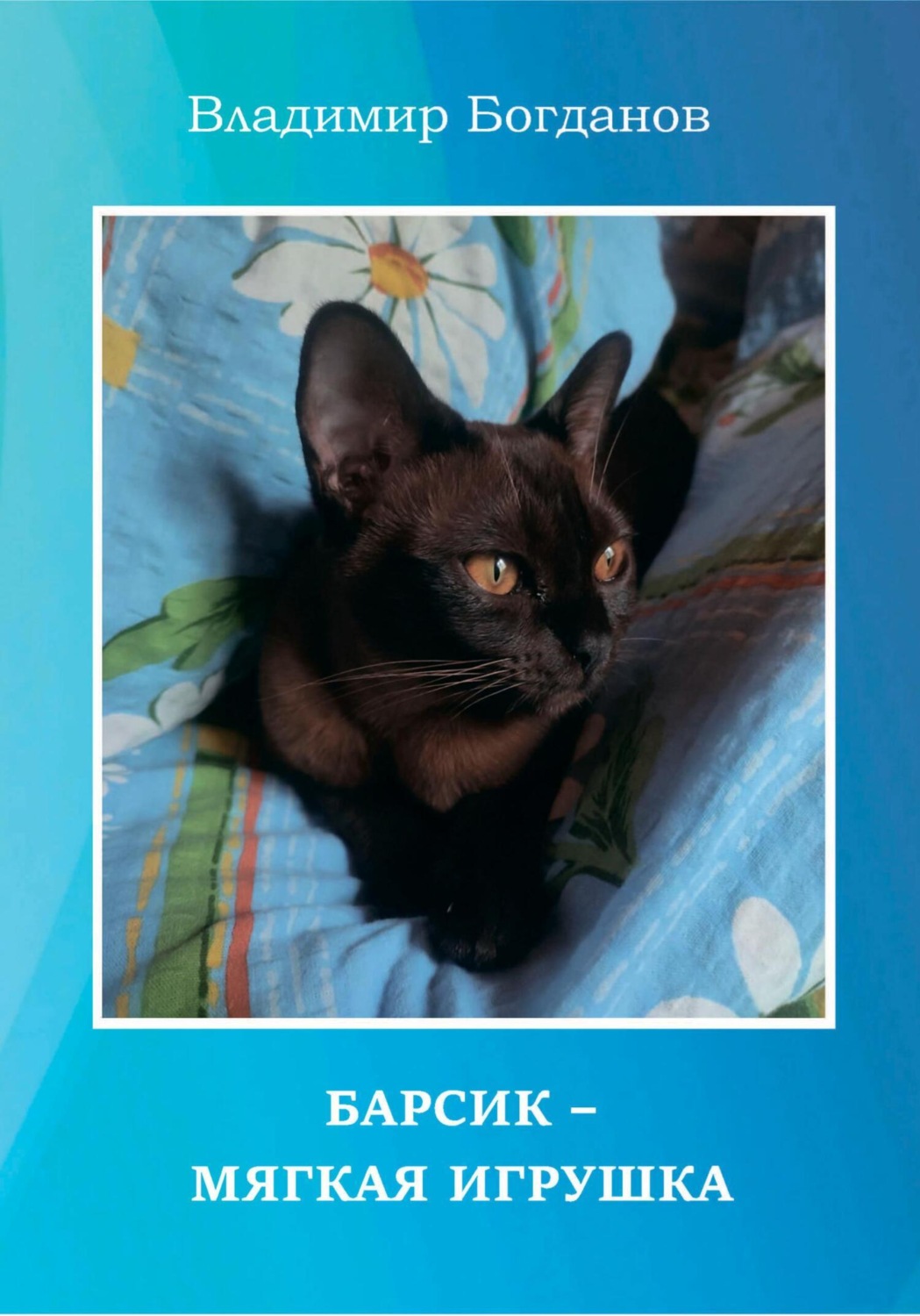 Обложка книги «Барсик – мягкая игрушка»