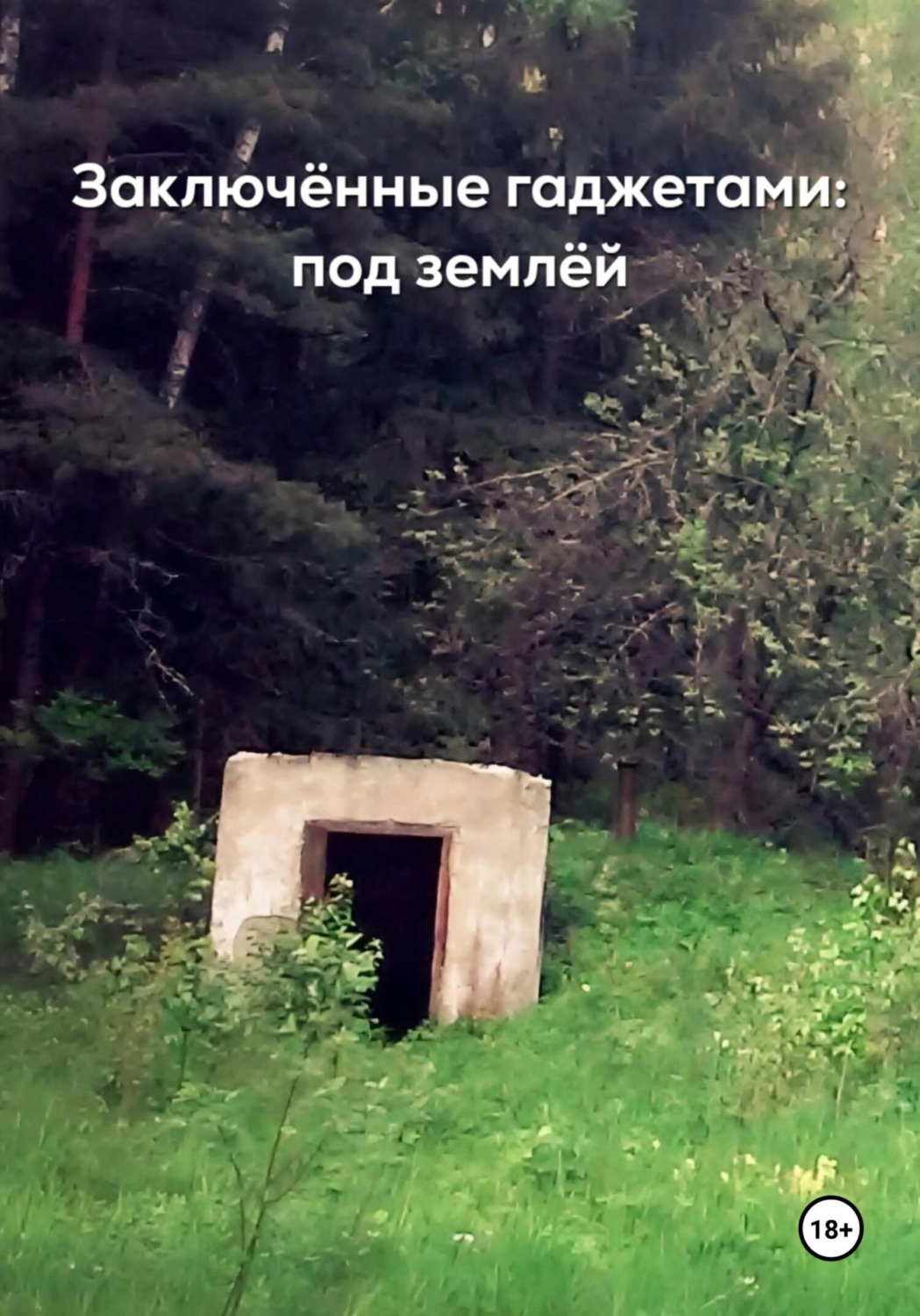 Обложка книги «Под землёй»