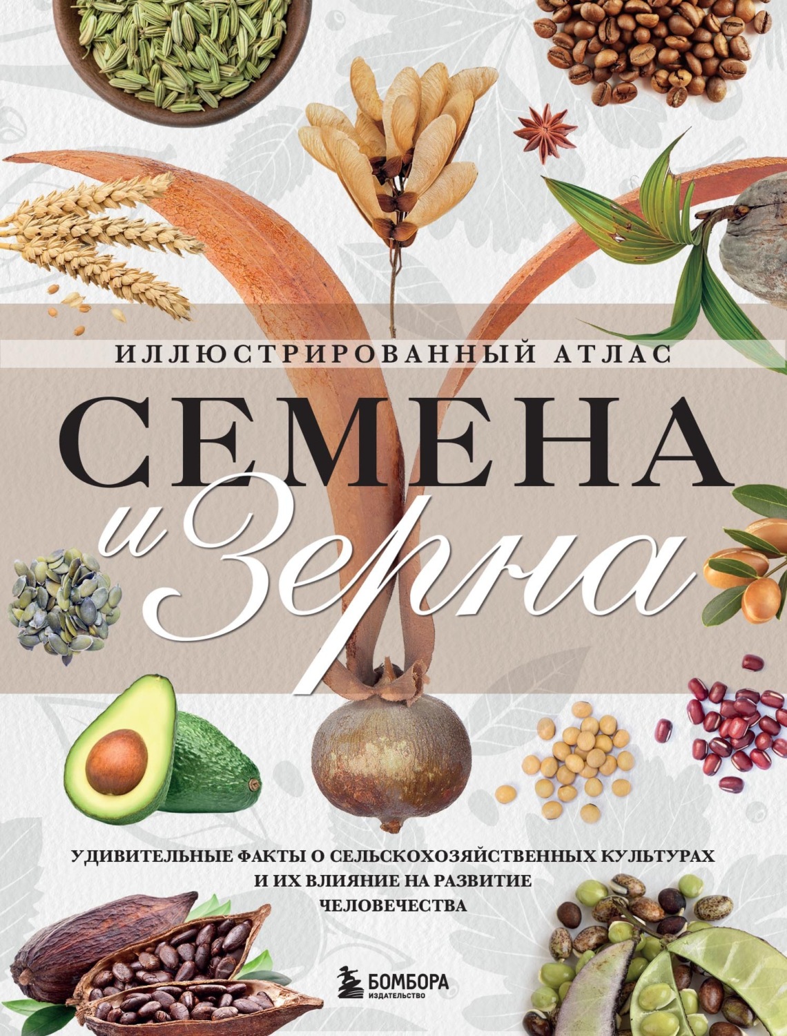 Обложка книги «Семена и зерна. Удивительные факты о сельскохозяйственных культурах и их влияние на развитие человечества. Иллюстрированный атлас»