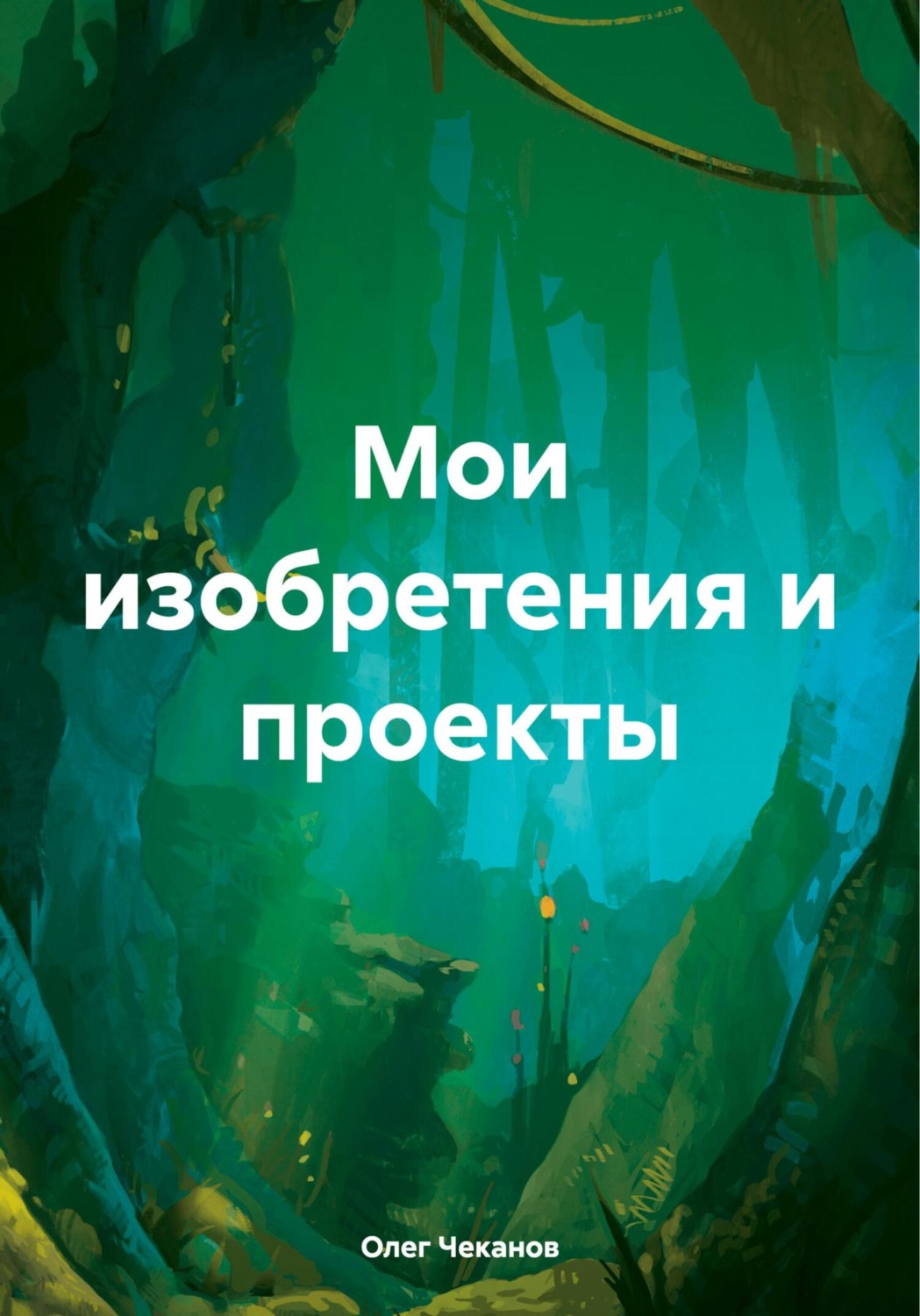 Обложка книги «Мои изобретения и проекты»