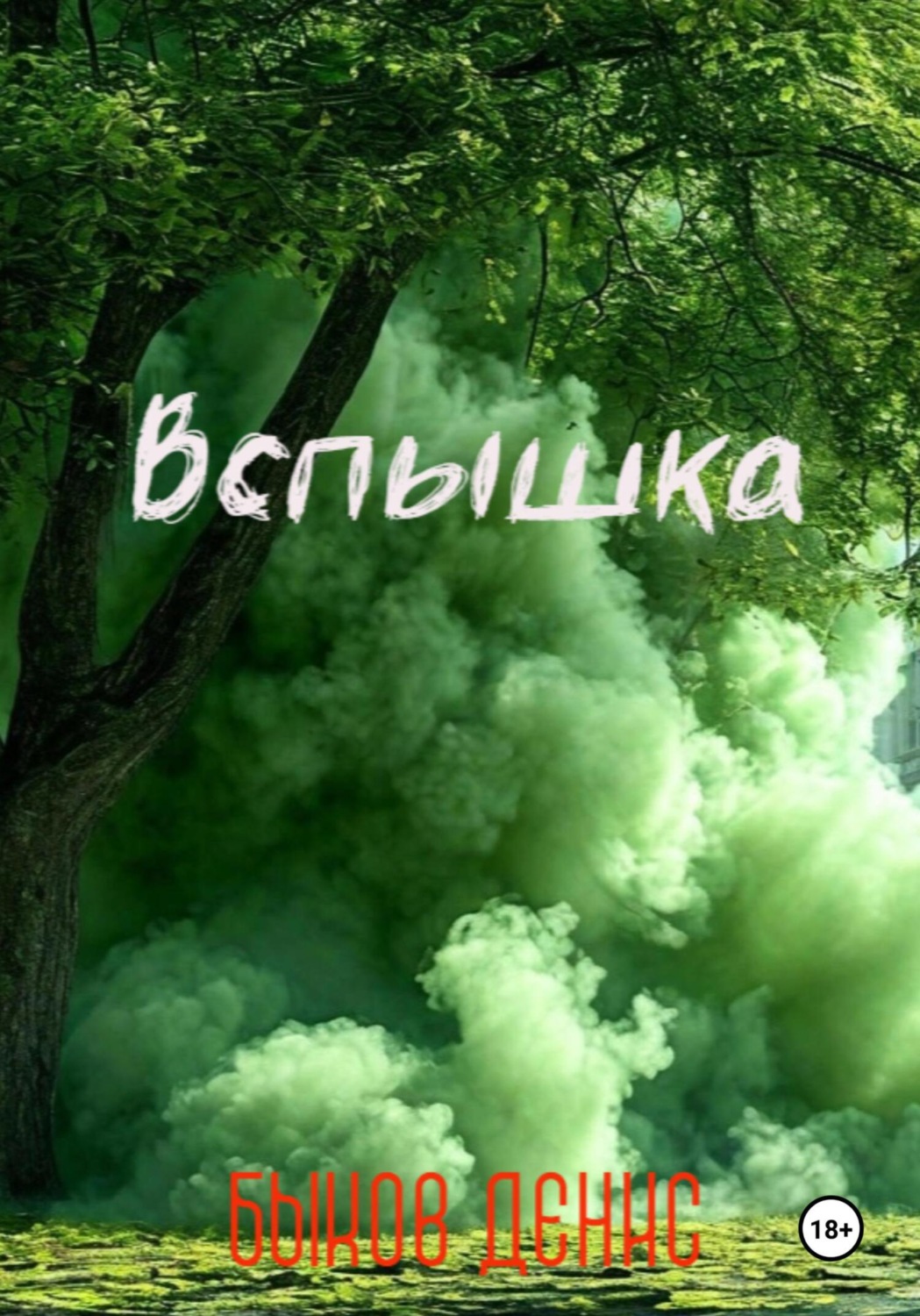 Обложка книги «Вспышка»