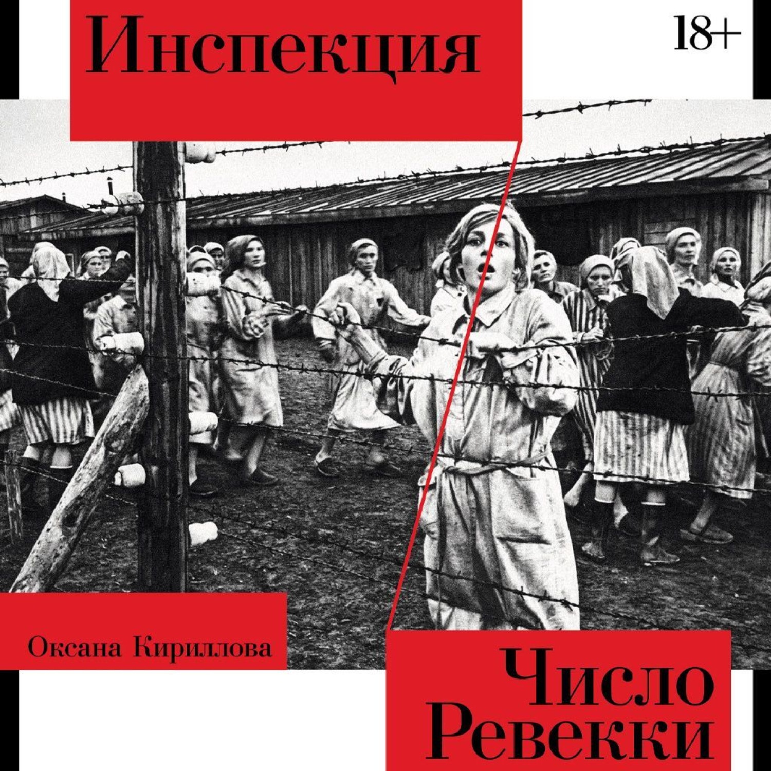 Обложка книги «Инспекция. Число Ревекки»