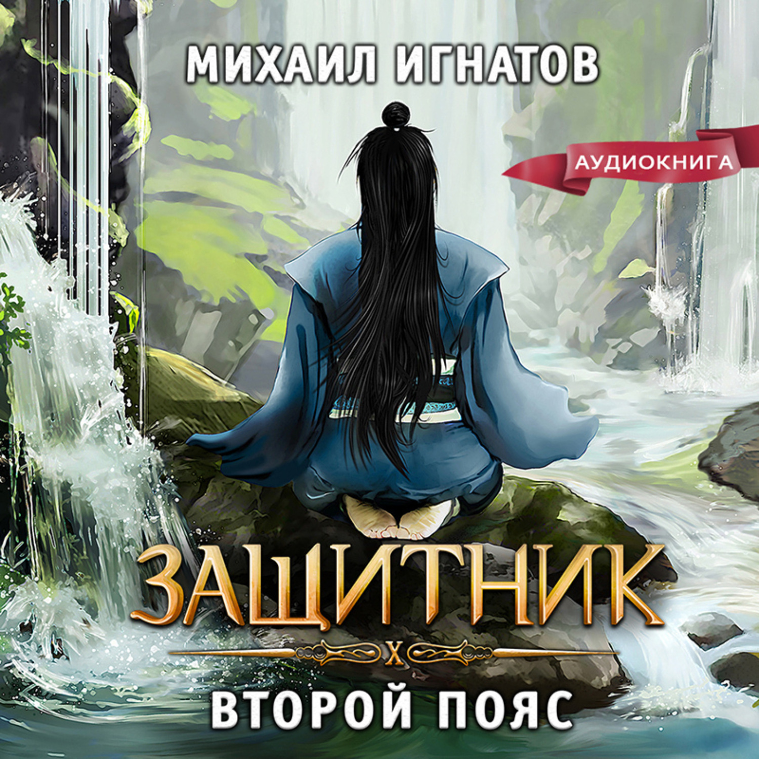 Обложка книги «Защитник. Второй пояс»