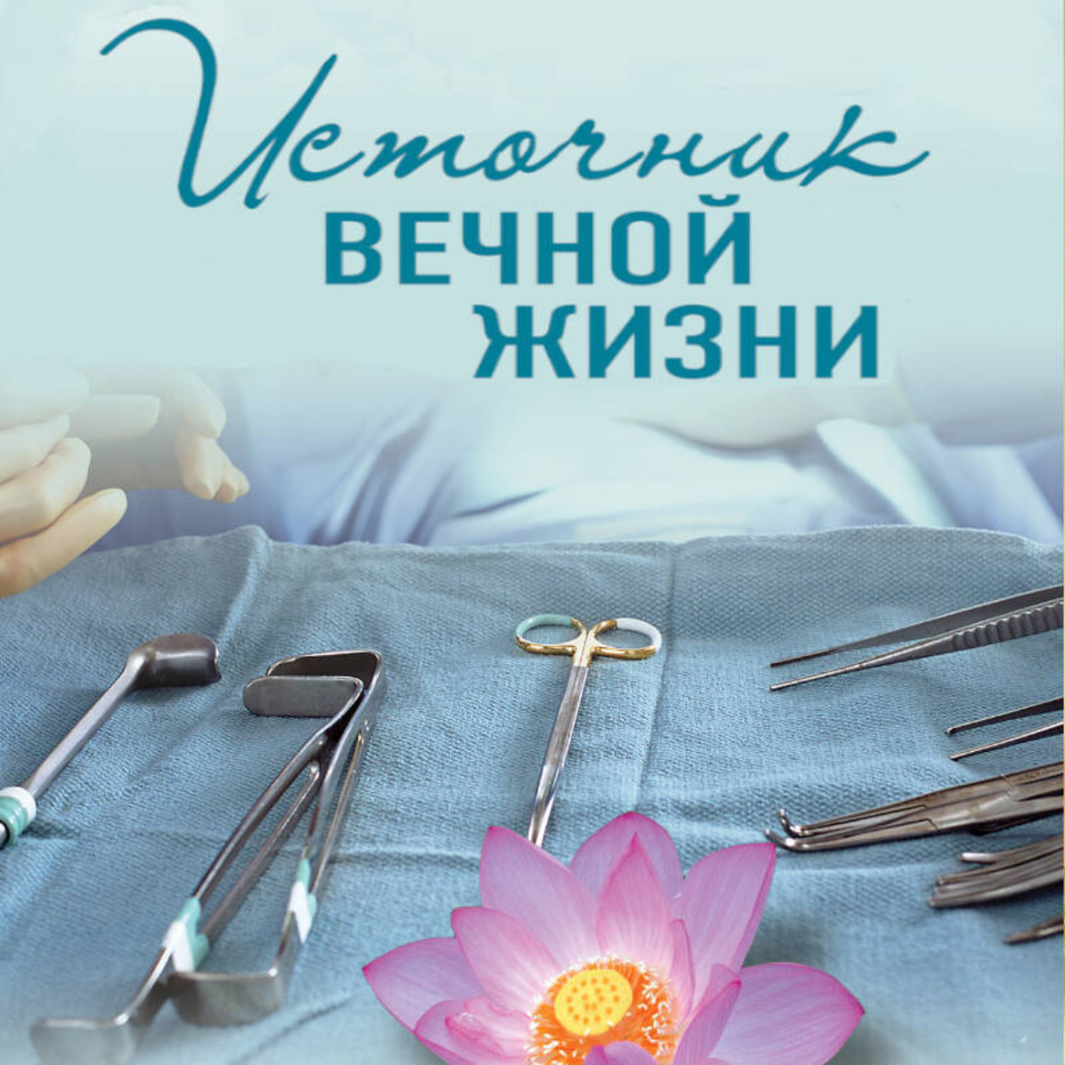 Обложка книги «Источник вечной жизни»