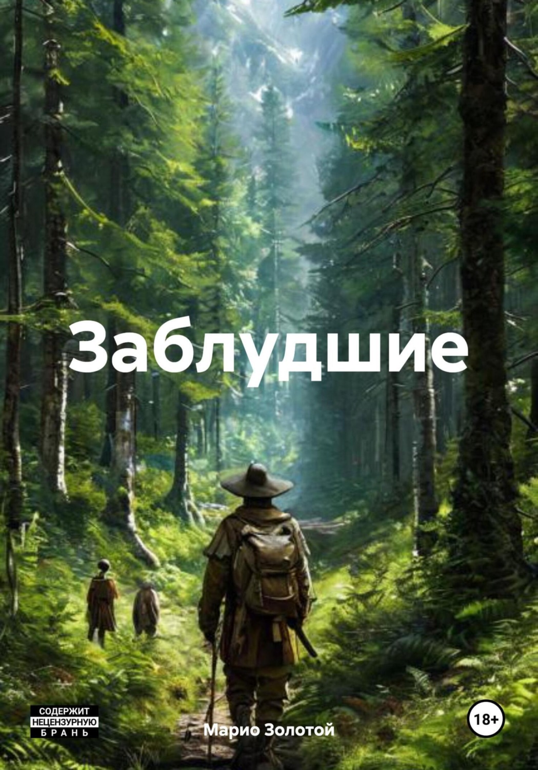 Обложка книги «Заблудшие»