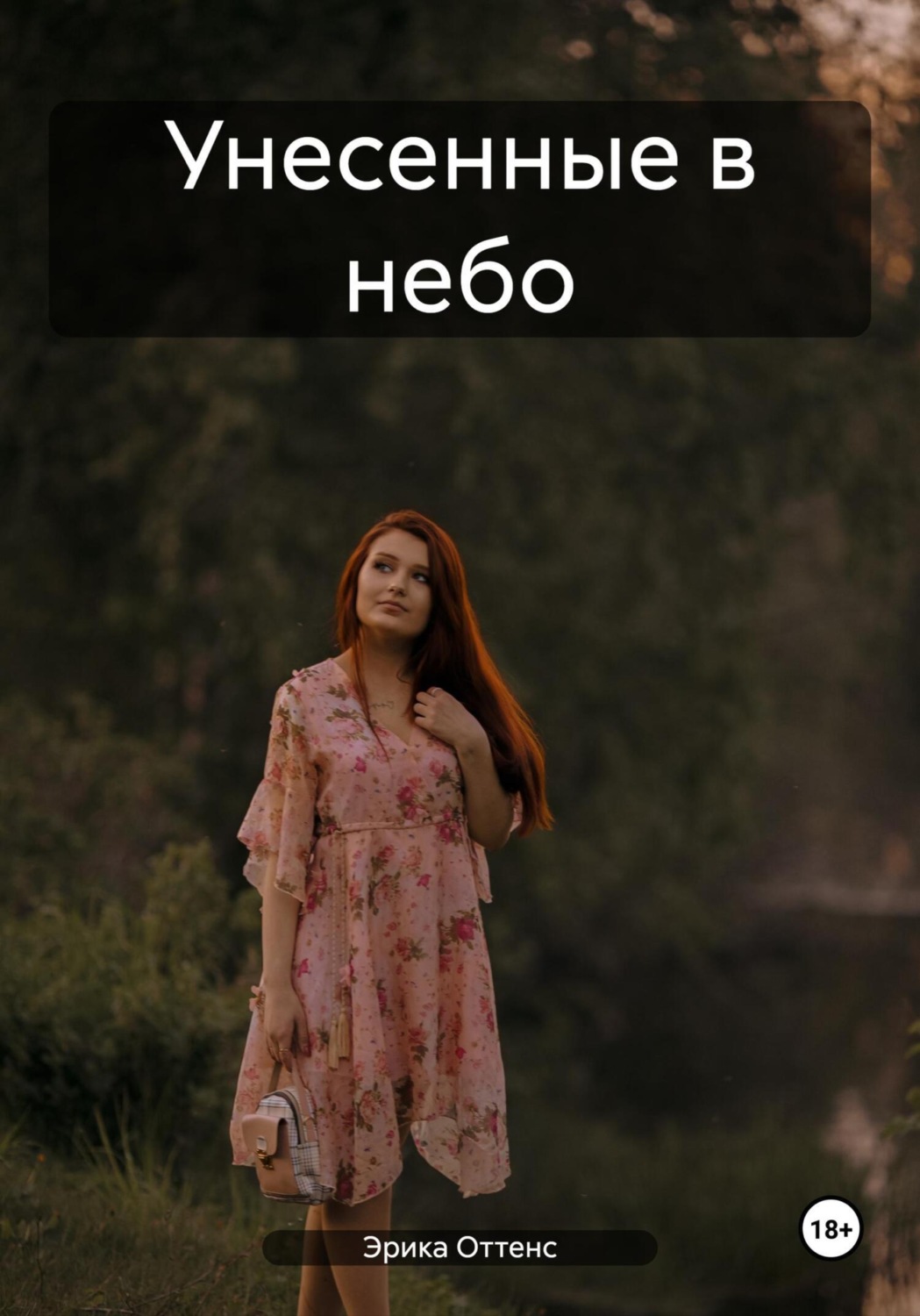 Обложка книги «Унесенные в небо»