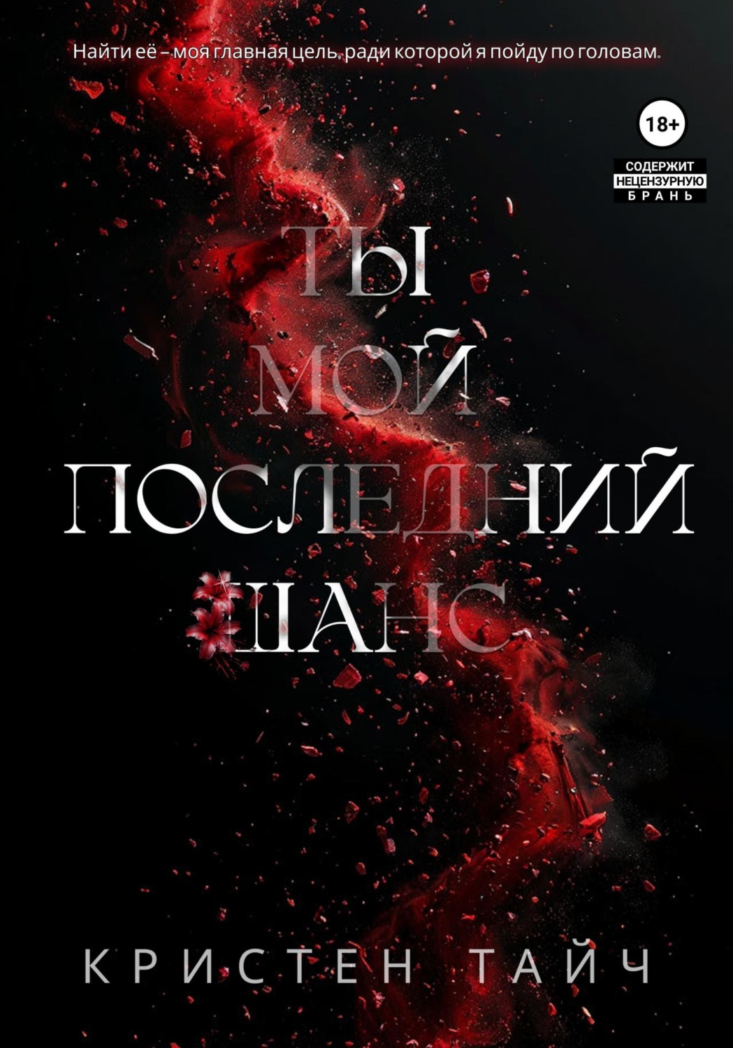 Обложка книги «Ты мой последний шанс»