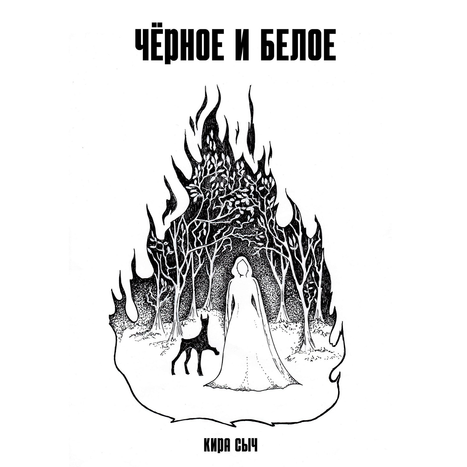 Обложка книги «Черное и белое»