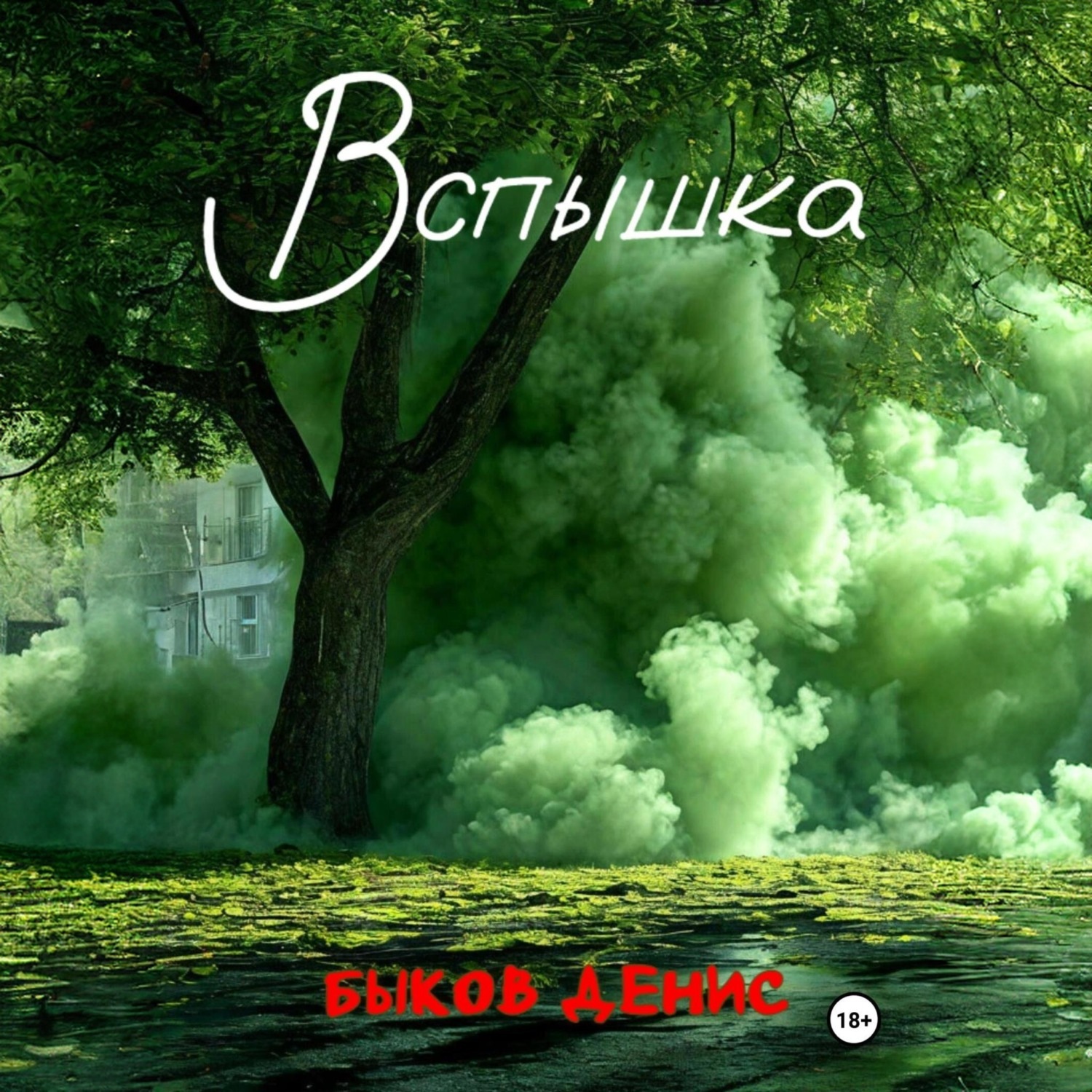 Обложка книги «Вспышка»