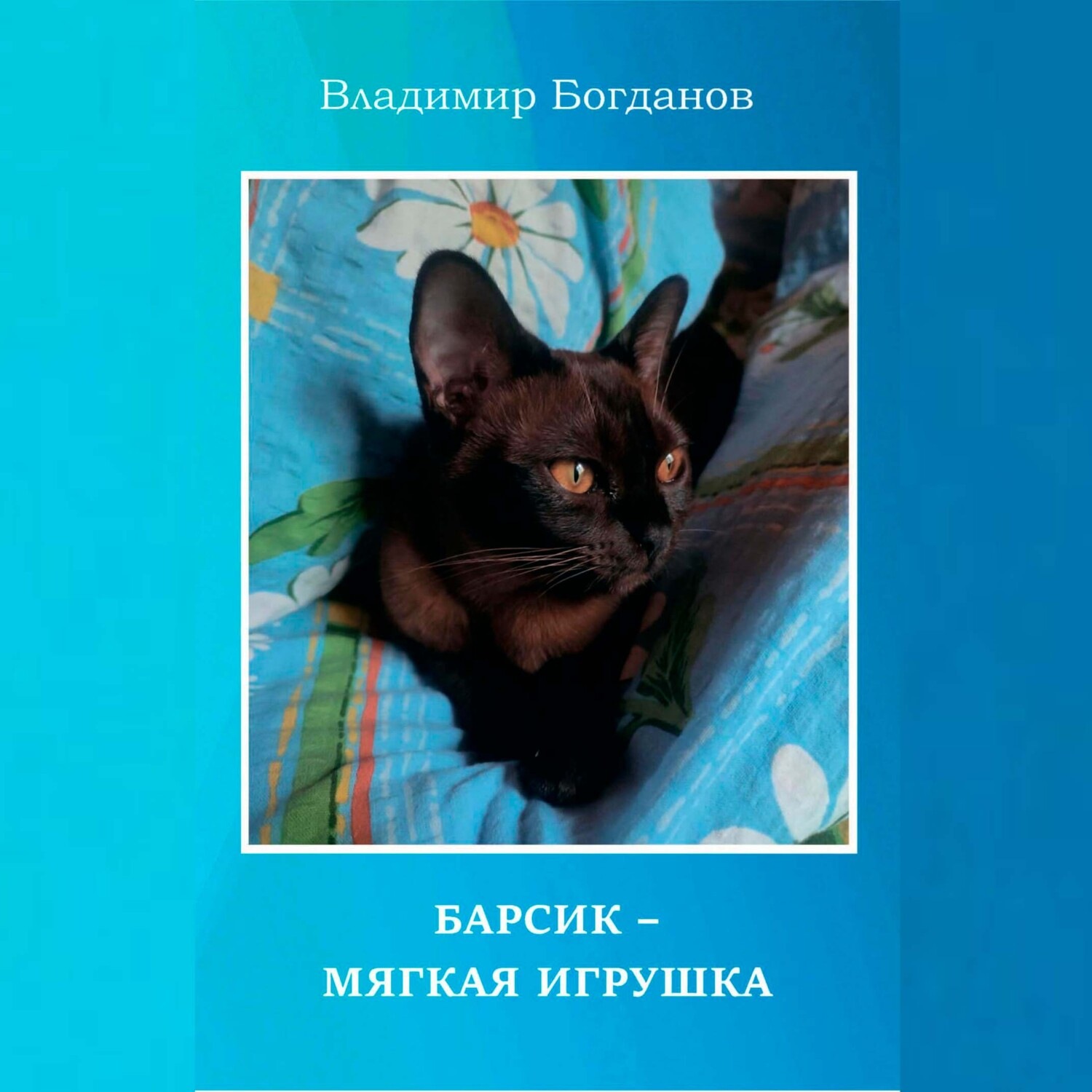 Обложка книги «Барсик – мягкая игрушка»