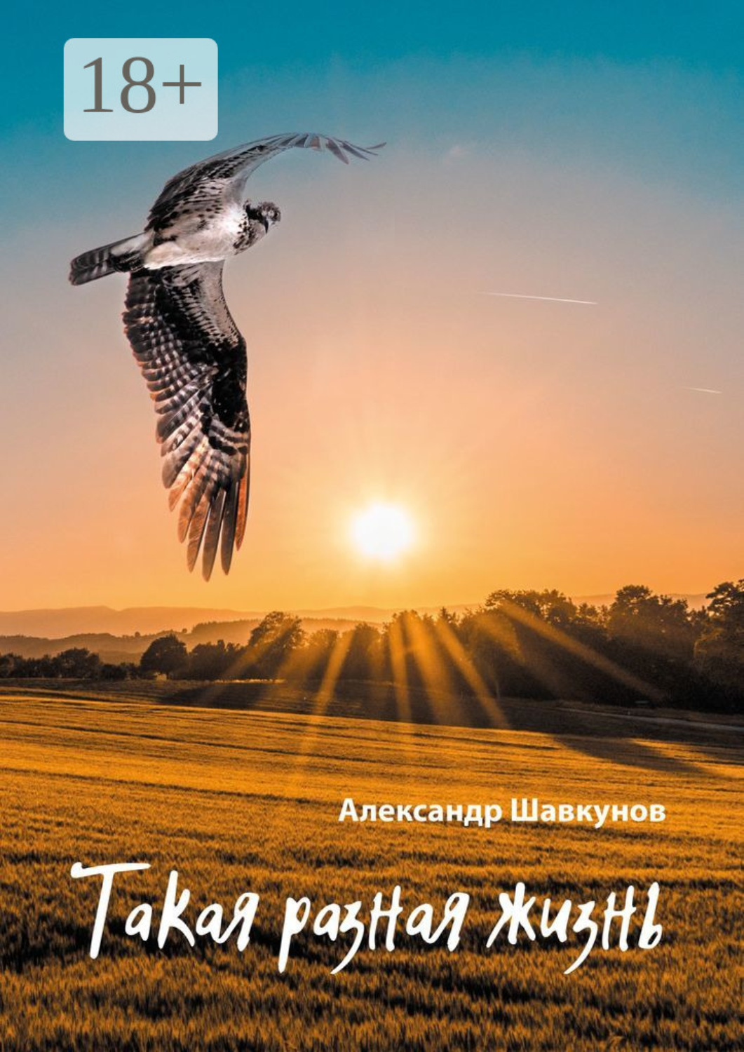 Обложка книги «Такая разная жизнь»