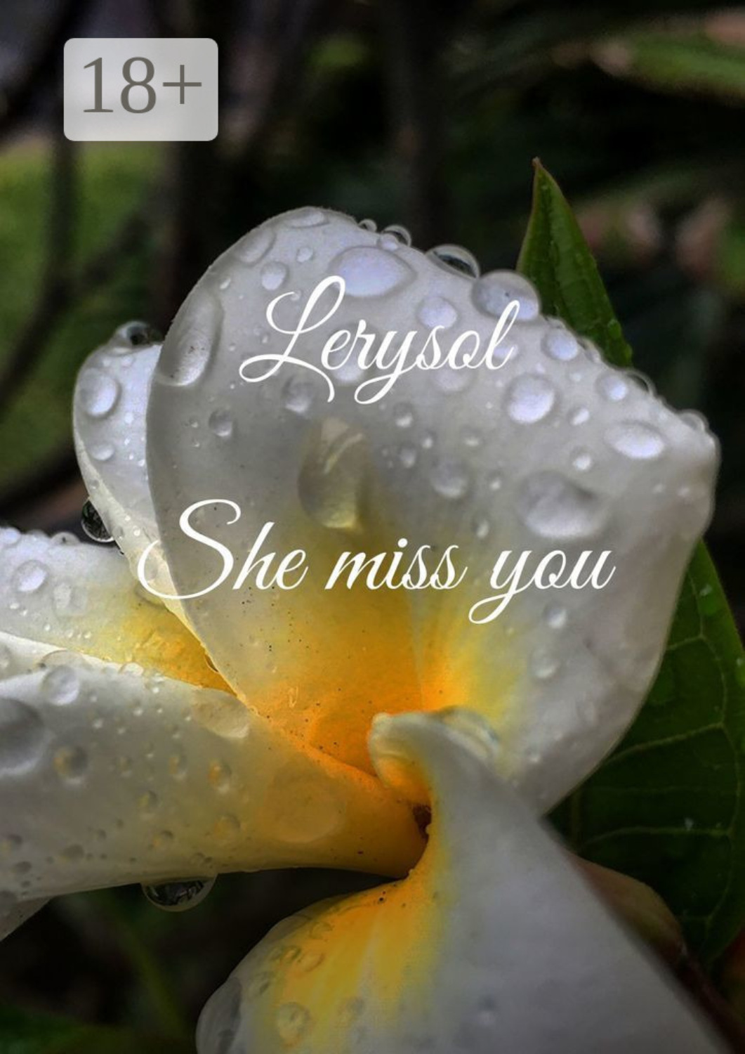 Обложка книги «She miss you»