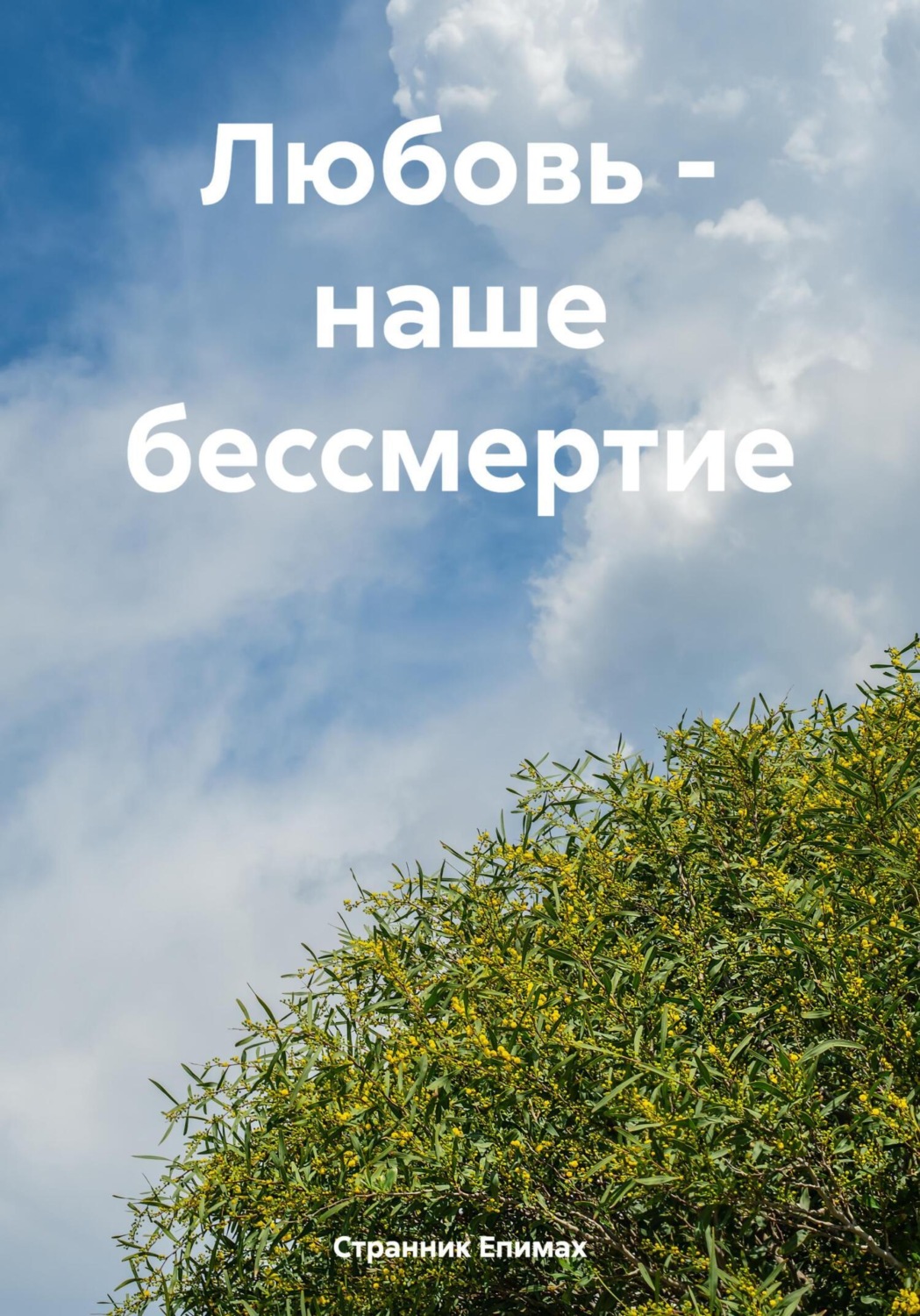 Обложка книги «Любовь – наше бессмертие»