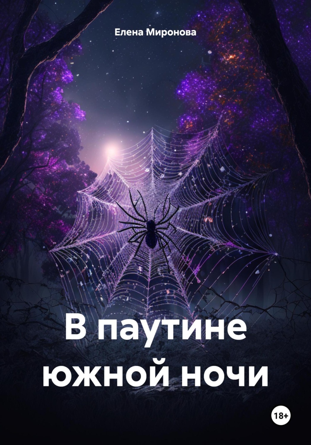 Обложка книги «В паутине южной ночи»