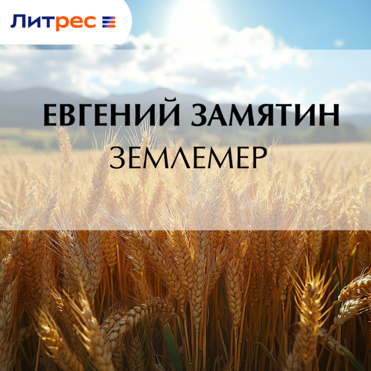 Обложка книги «Землемер»