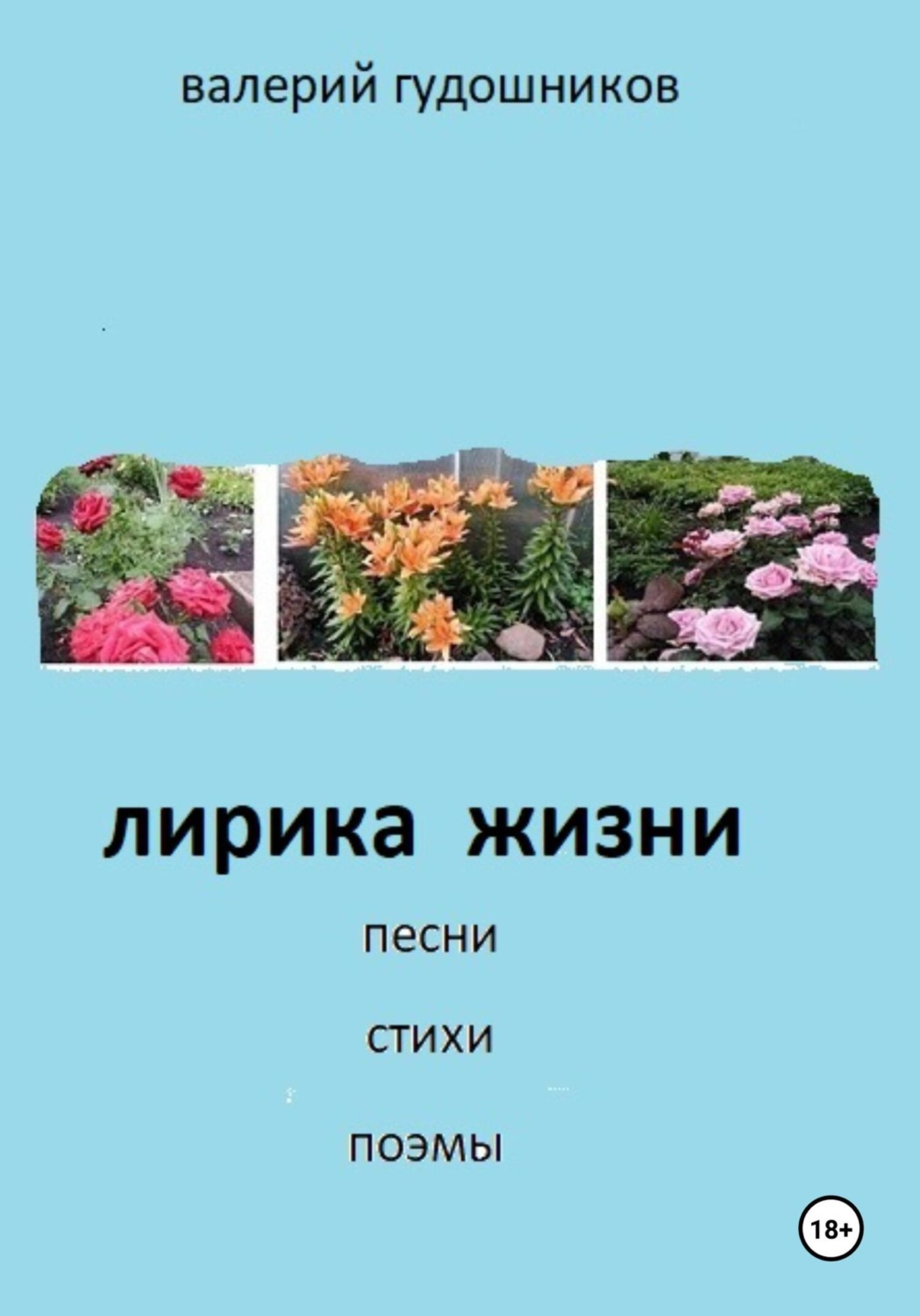 Обложка книги «Лирика жизни. Песни, стихи, поэмы»