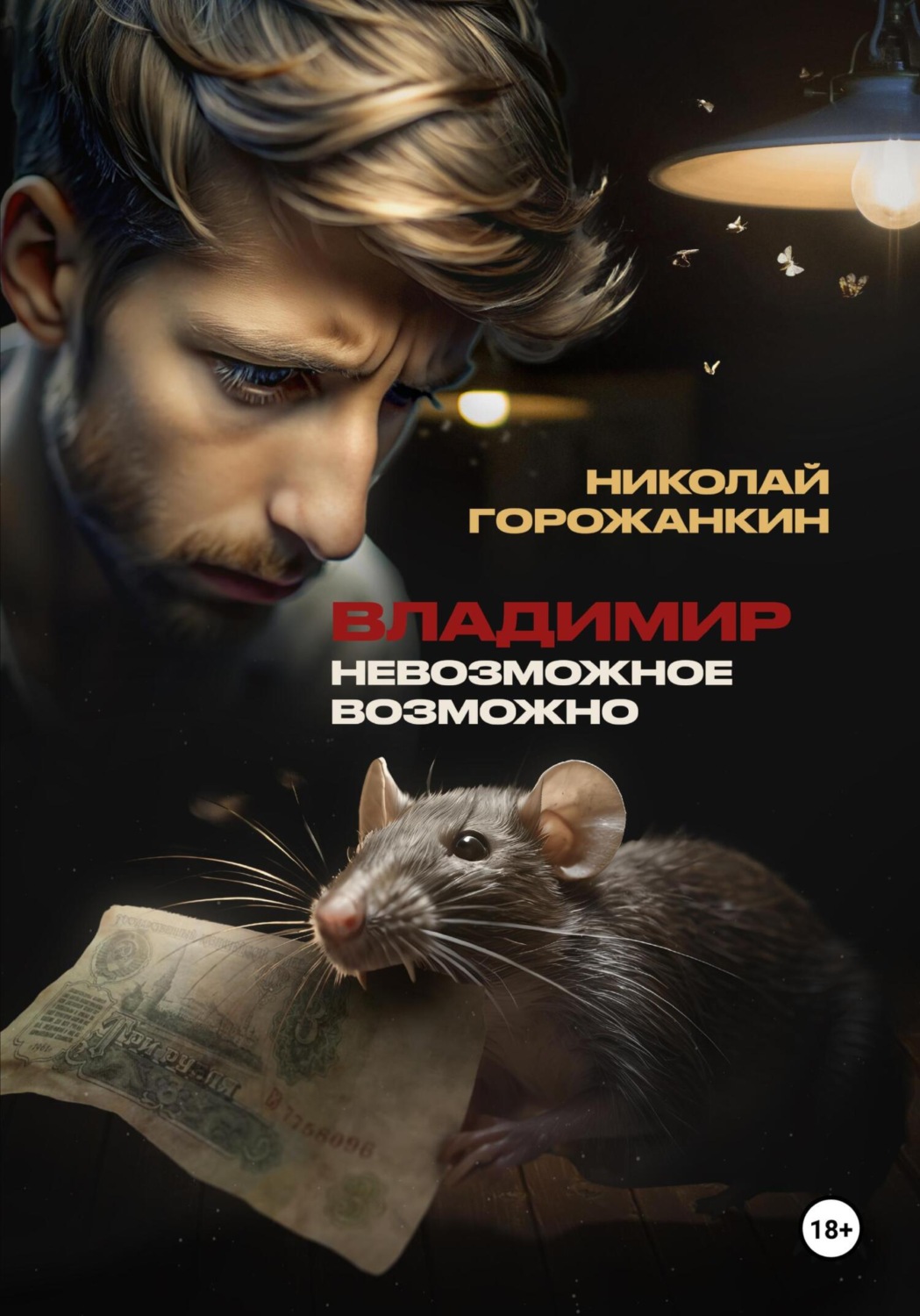 Обложка книги «Владимир»