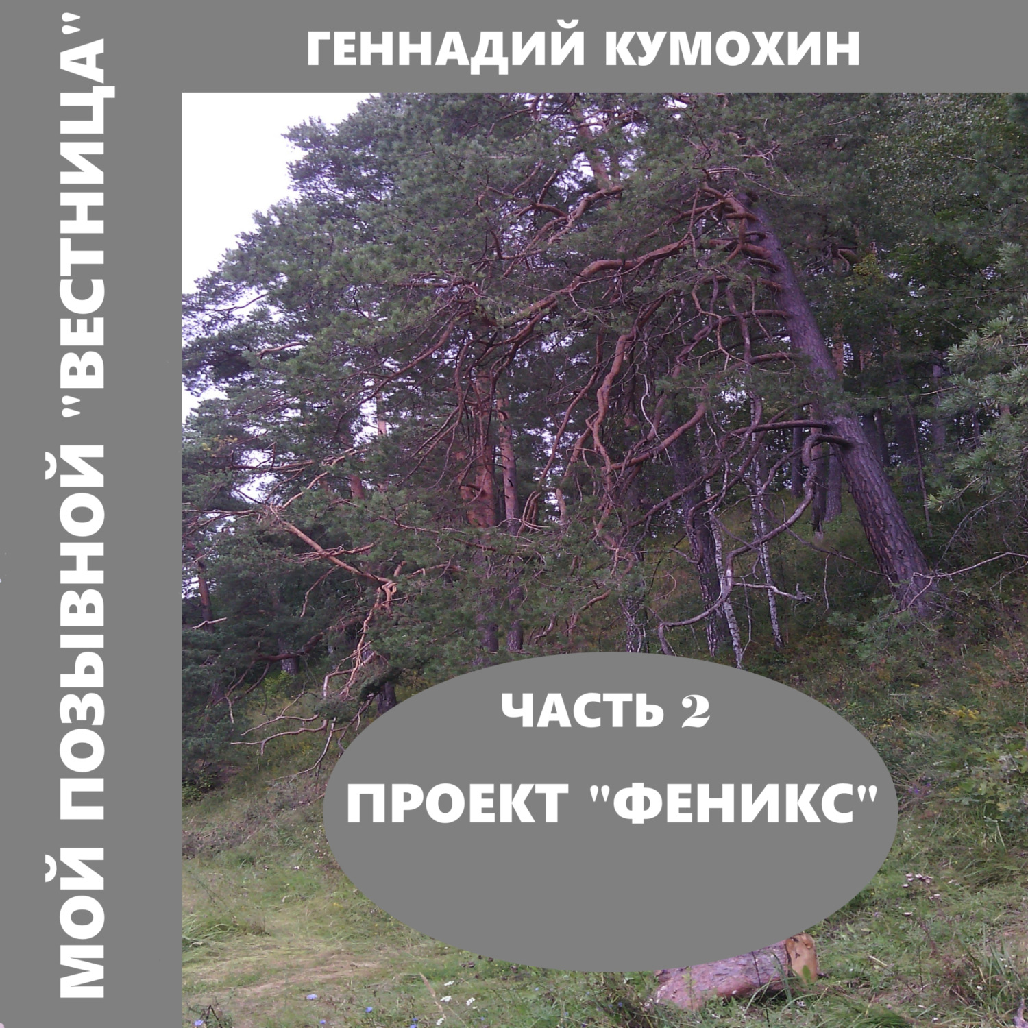 Обложка книги «Мой позывной «Вестница». Часть 2. Проект «Феникс»»