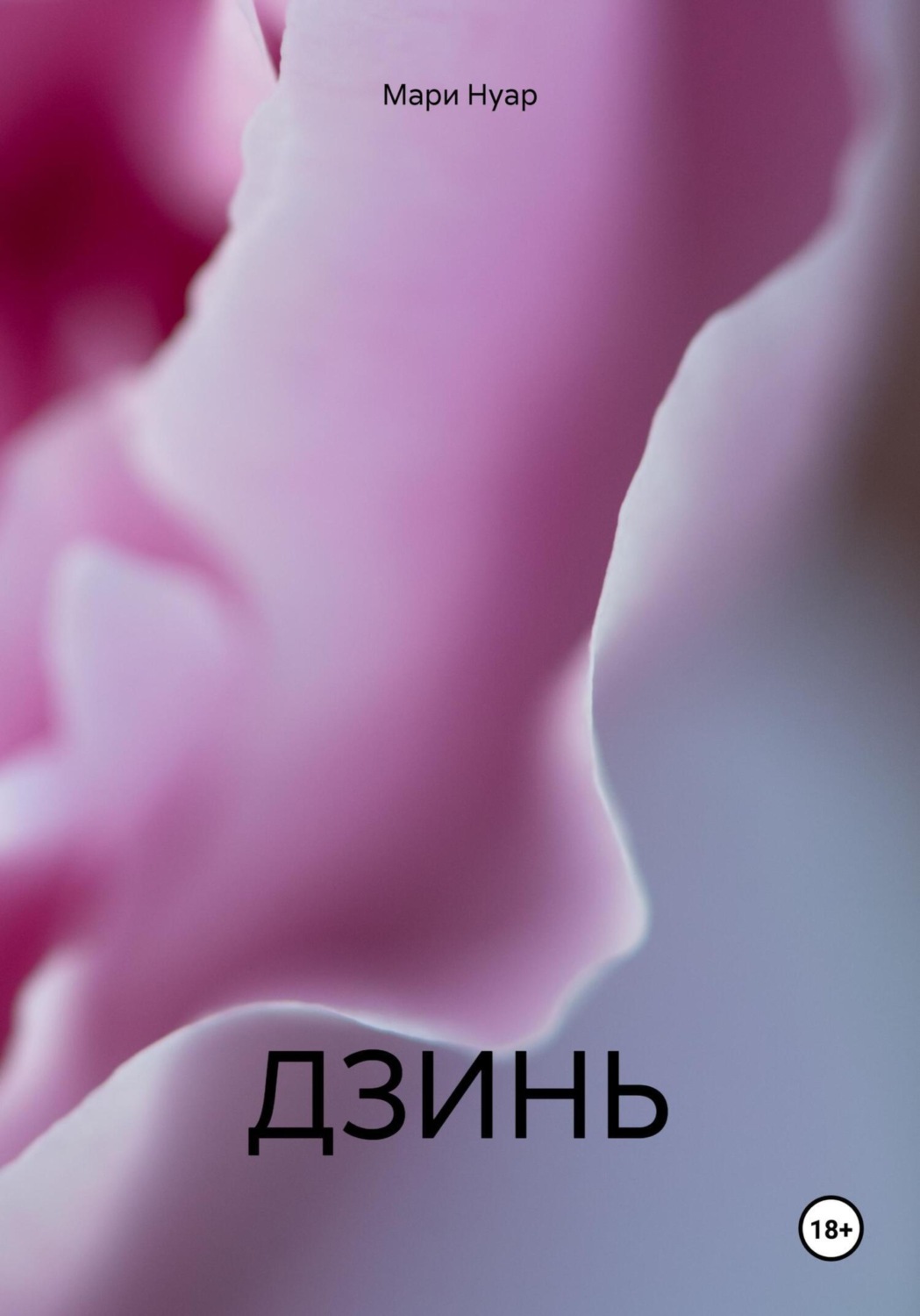 Обложка книги «ДЗИНЬ»