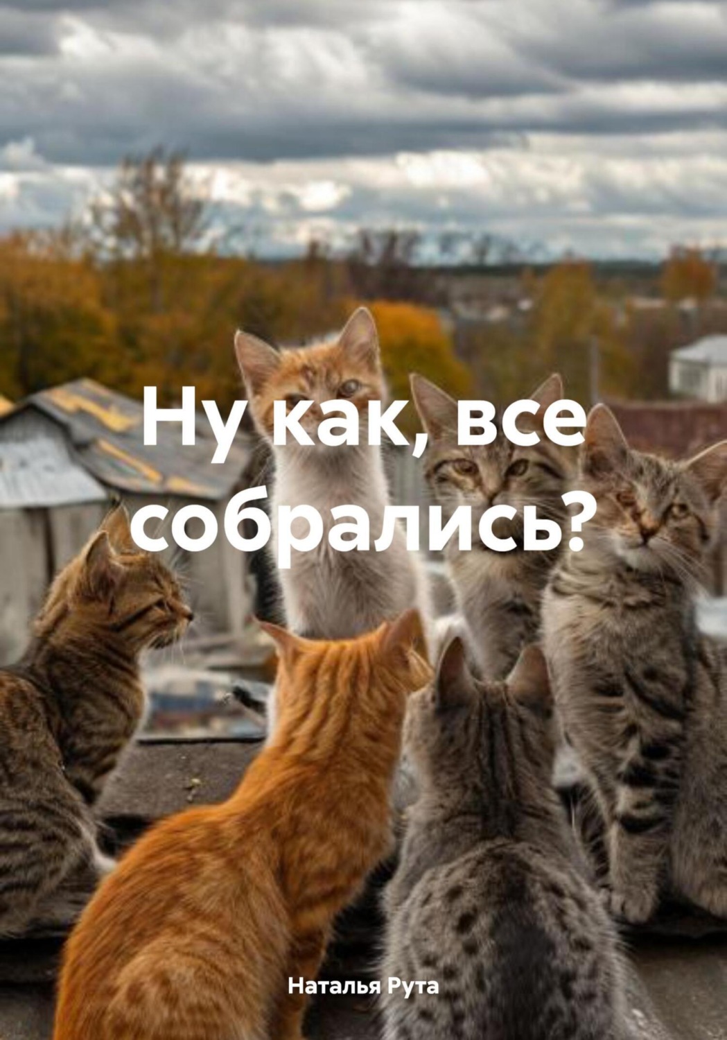 Обложка книги «Ну как, все собрались?»