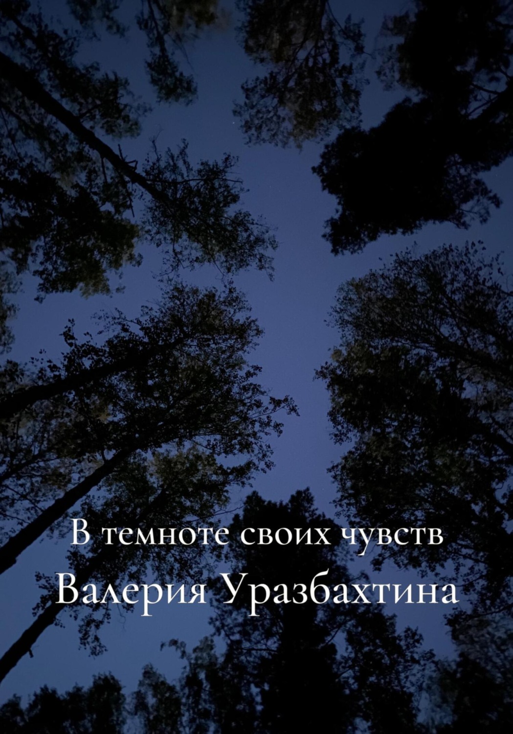 Обложка книги «В темноте своих чувств»