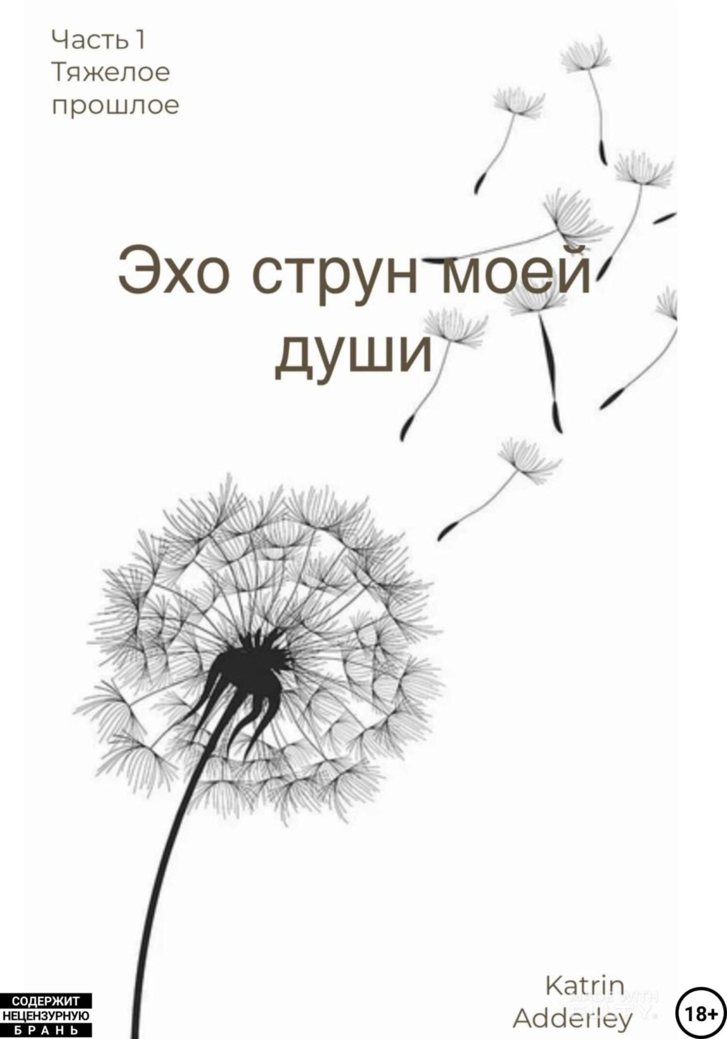 Обложка книги «Эхо струн моей души»