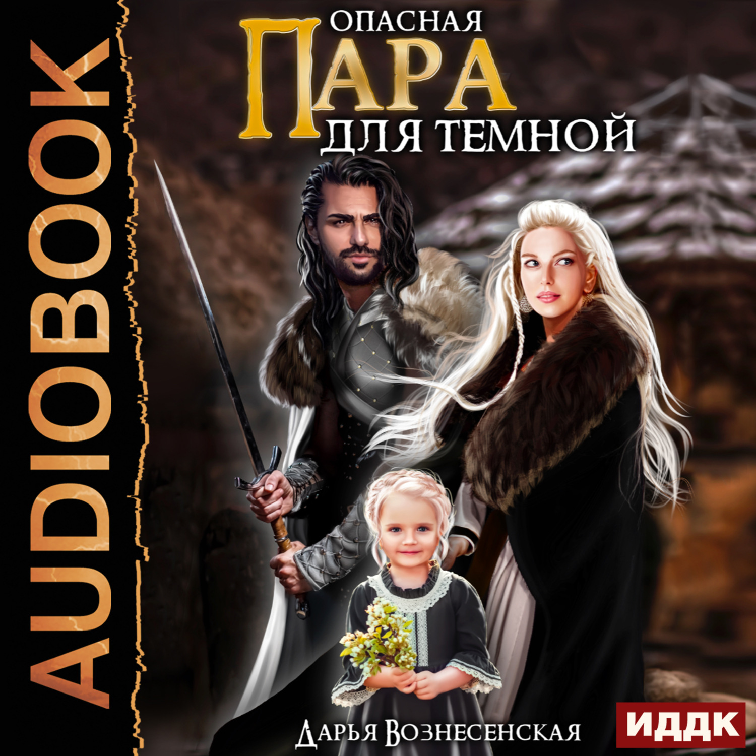 Обложка книги «Опасная пара для темной»