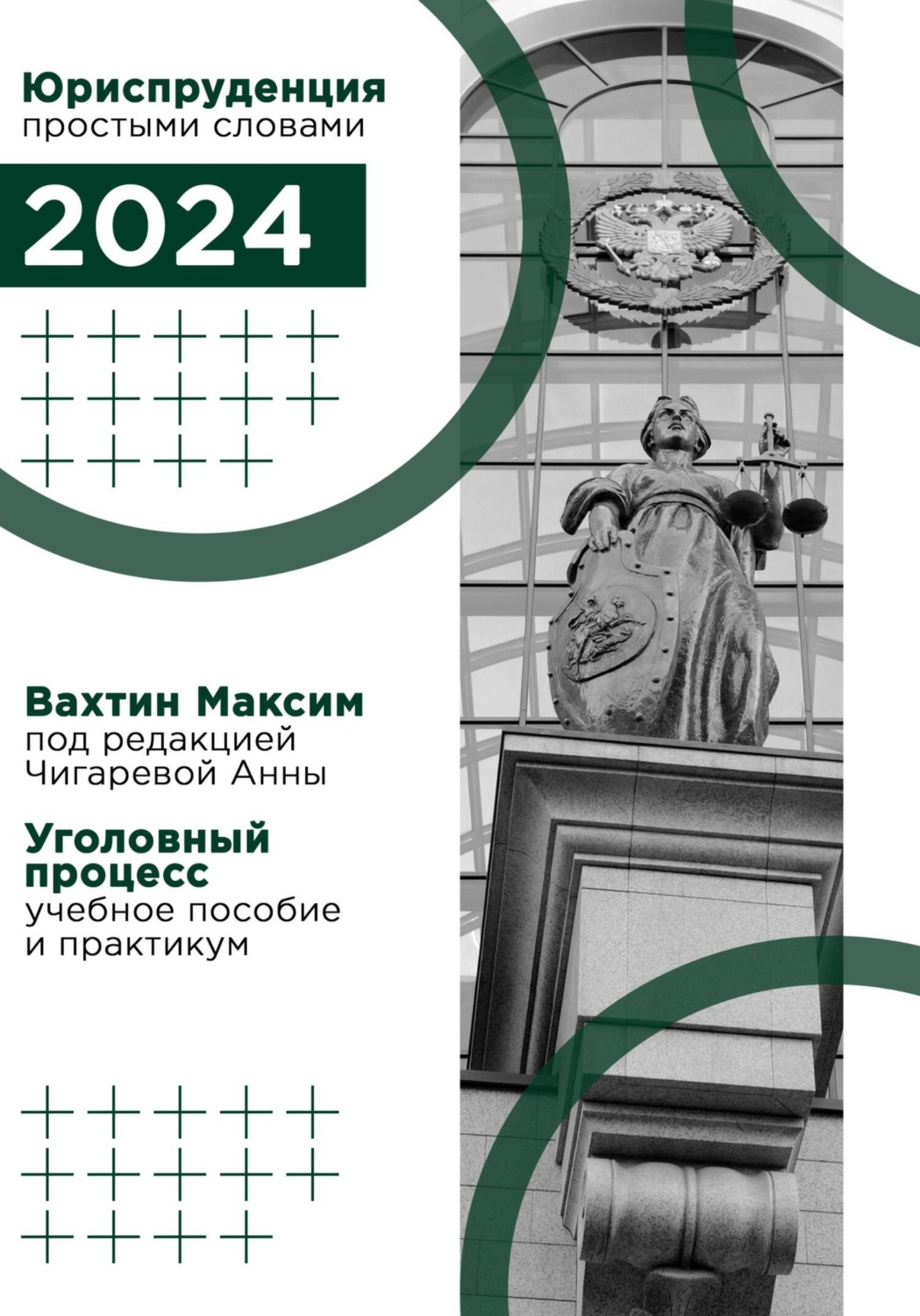 Обложка книги «Уголовный процесс: учебное пособие и практикум (под редакцией Чигаревой Анны)»