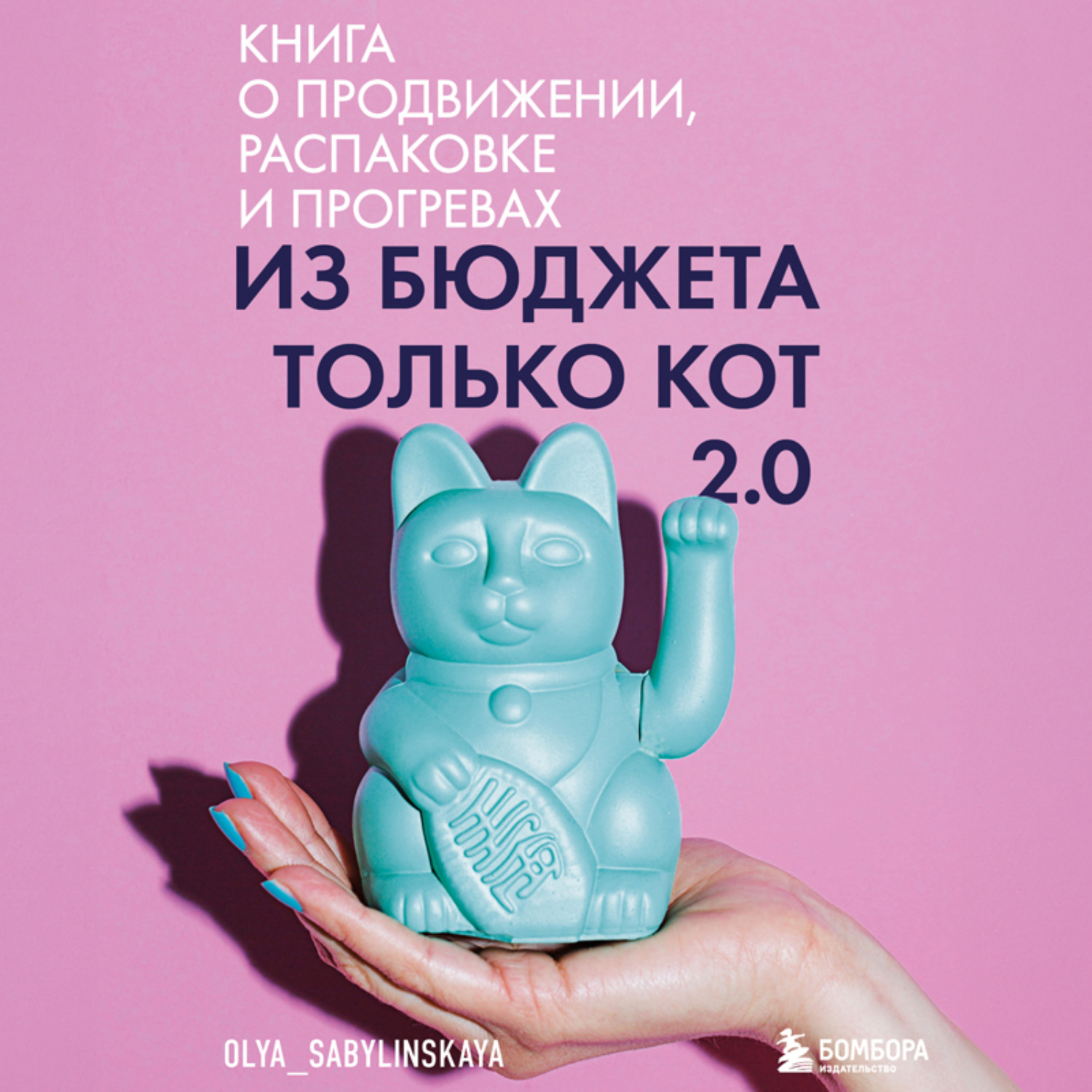 Обложка книги «Из бюджета только кот 2.0»