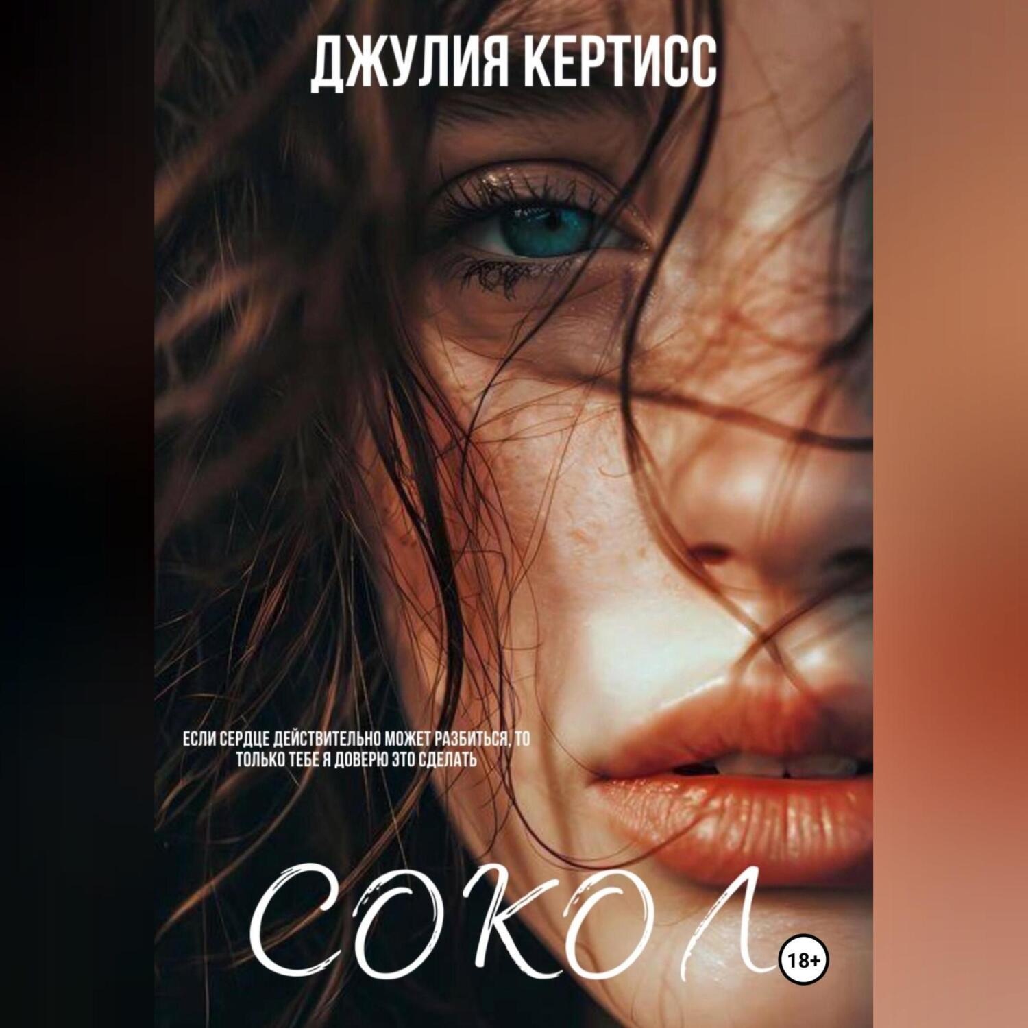 Обложка книги «Сокол»
