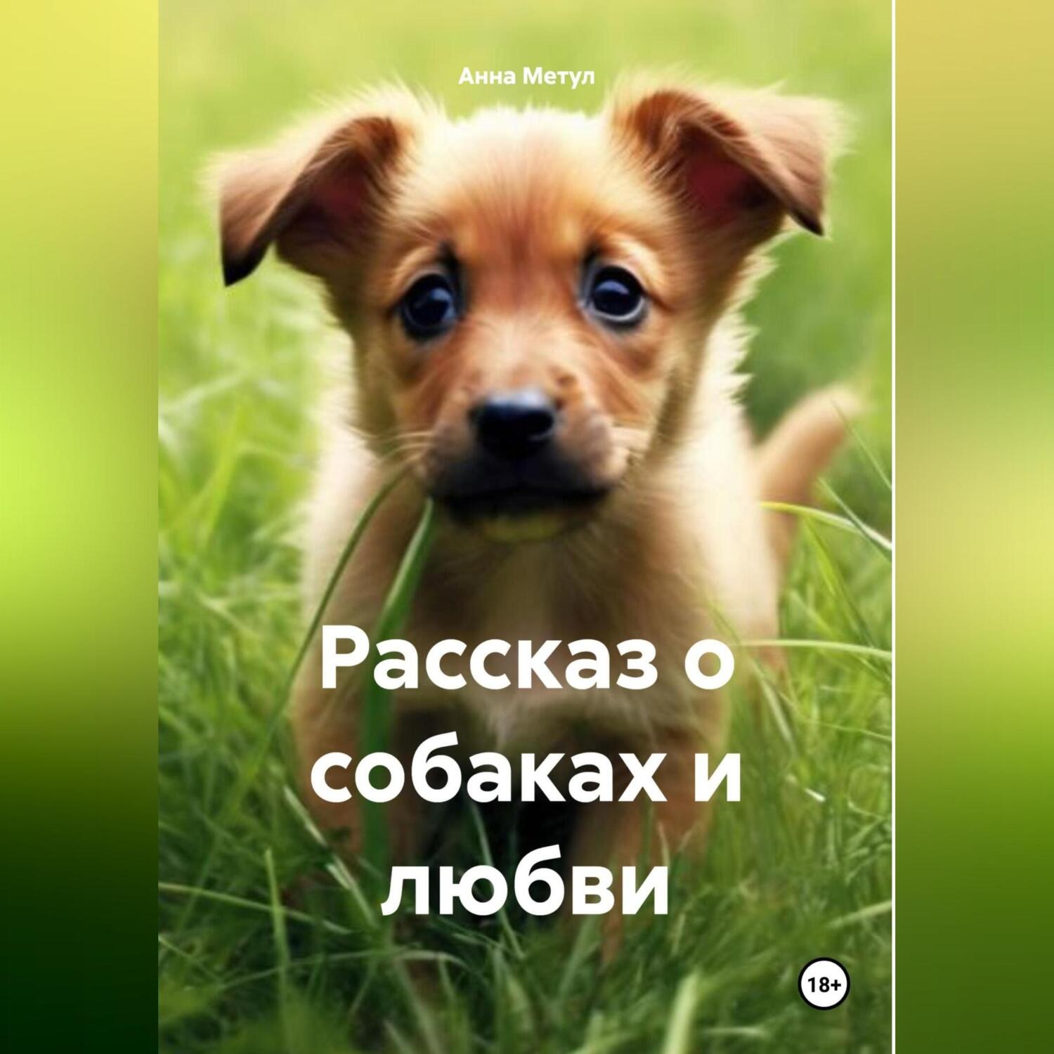 Обложка книги «Рассказ о собаках и любви»