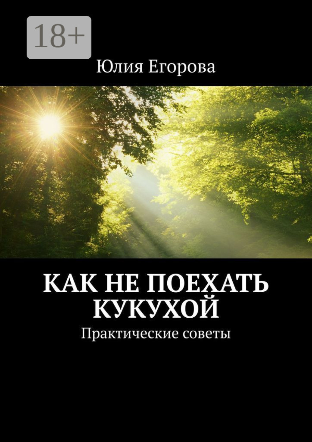 Обложка книги «Как не поехать кукухой. Практические советы»