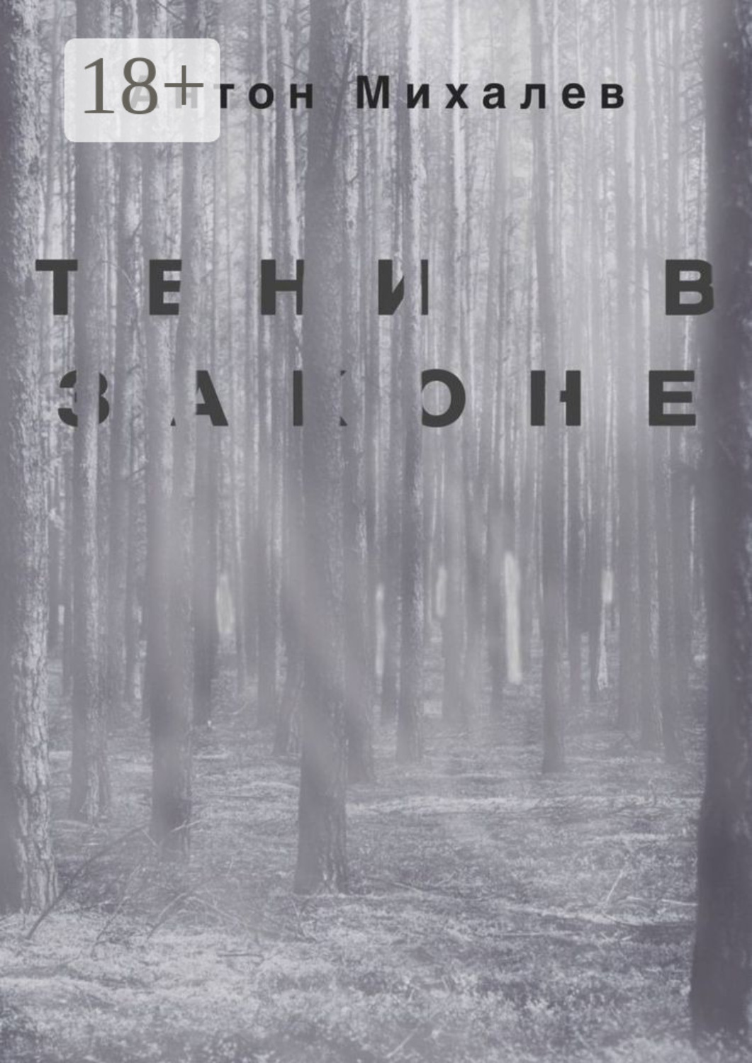 Обложка книги «Тени в законе»