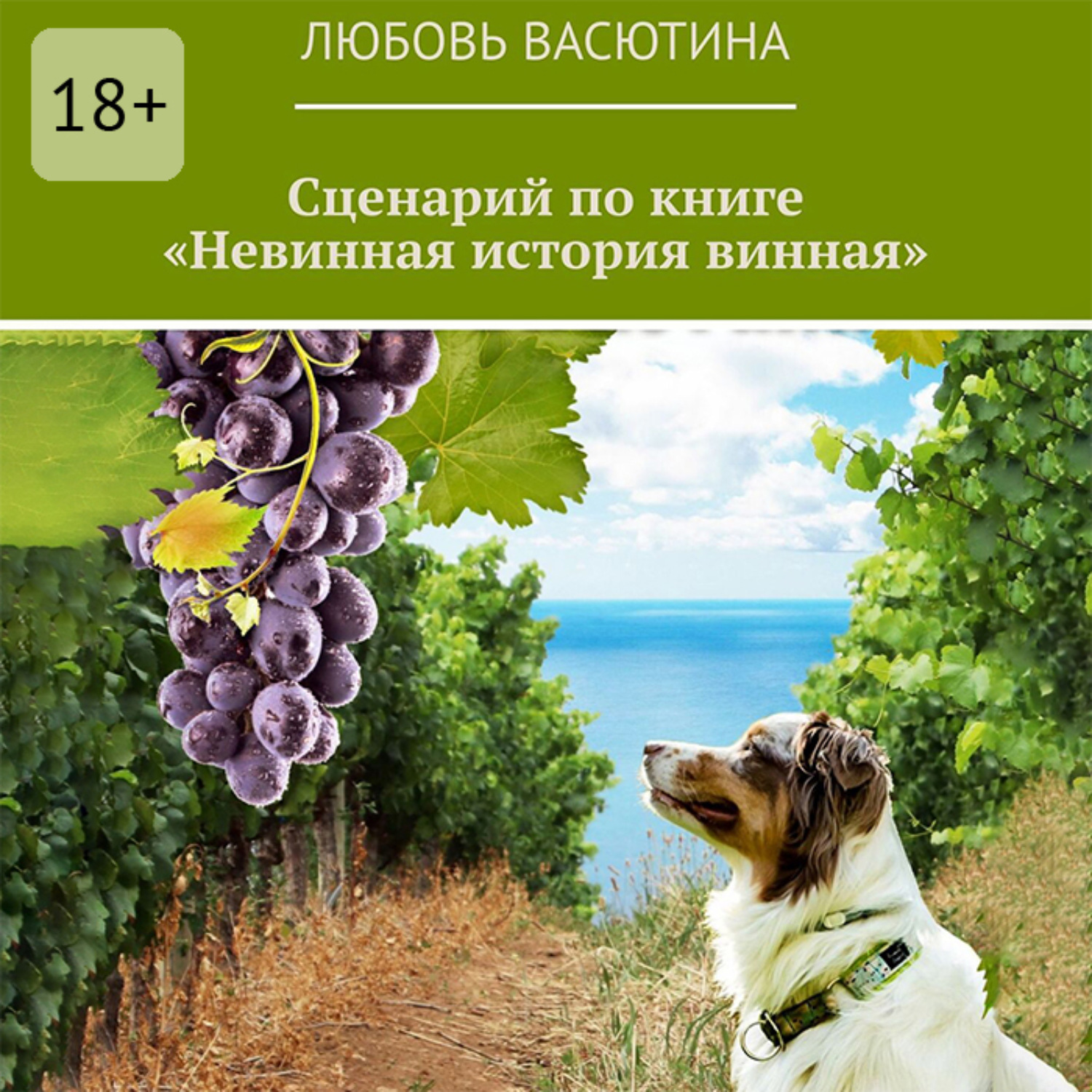 Обложка книги «Сценарий по книге «Невинная история винная»»
