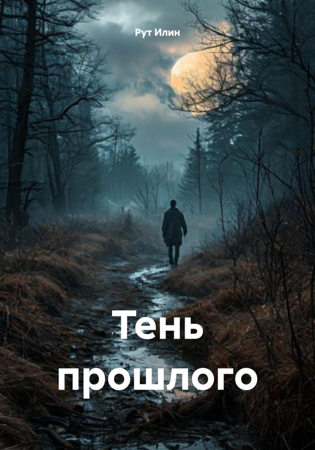 Обложка книги «Тень прошлого»
