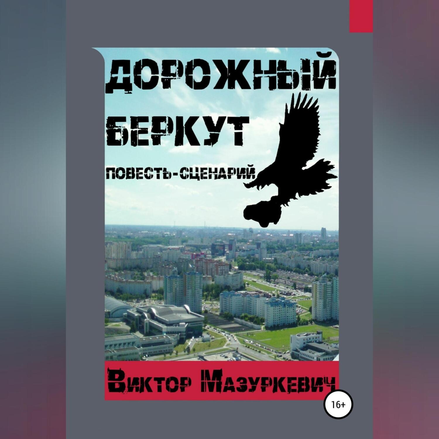 Обложка книги «Дорожный Беркут»