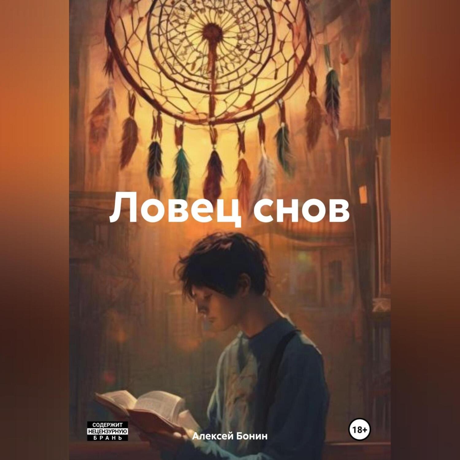 Обложка книги «Ловец снов»