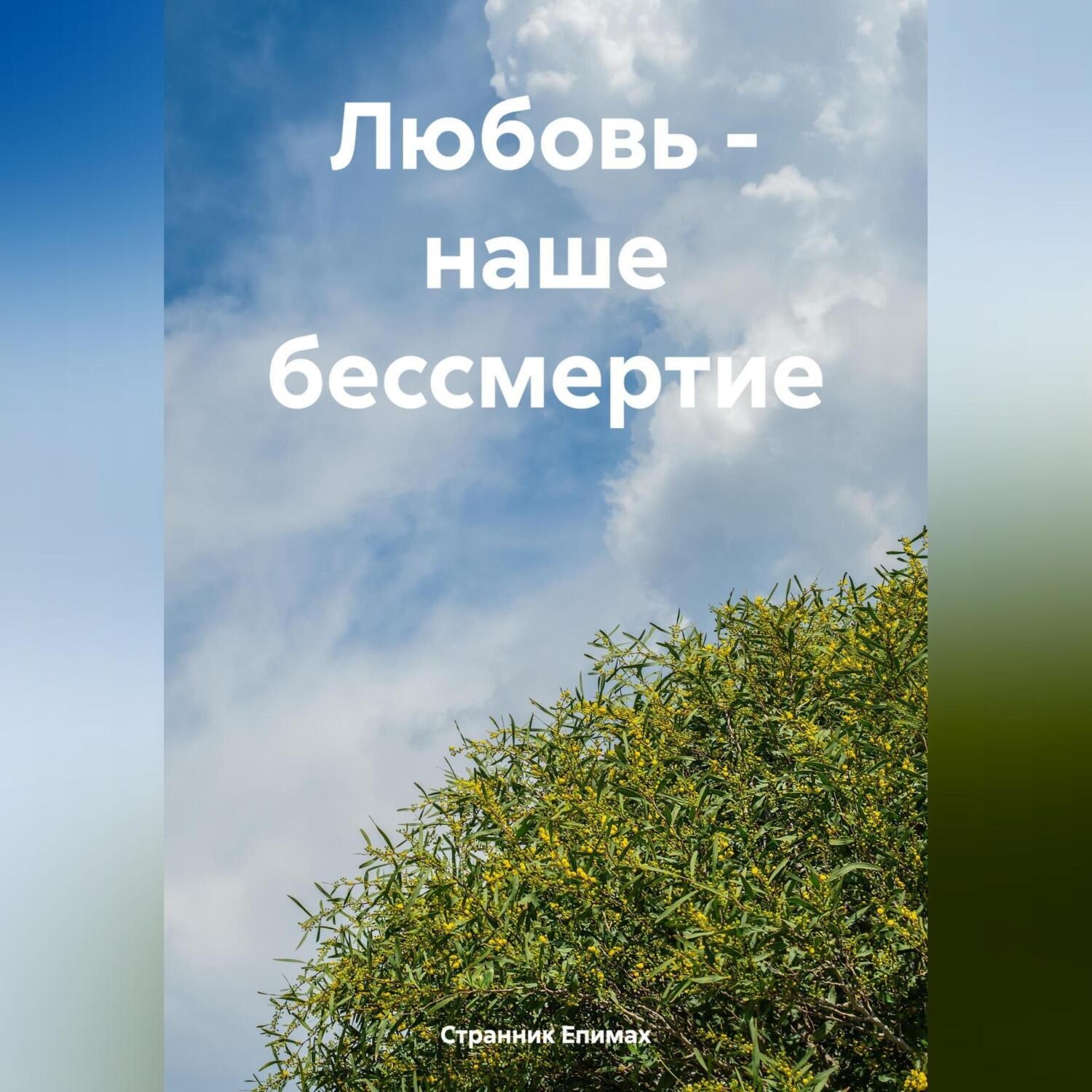 Обложка книги «Любовь – наше бессмертие»