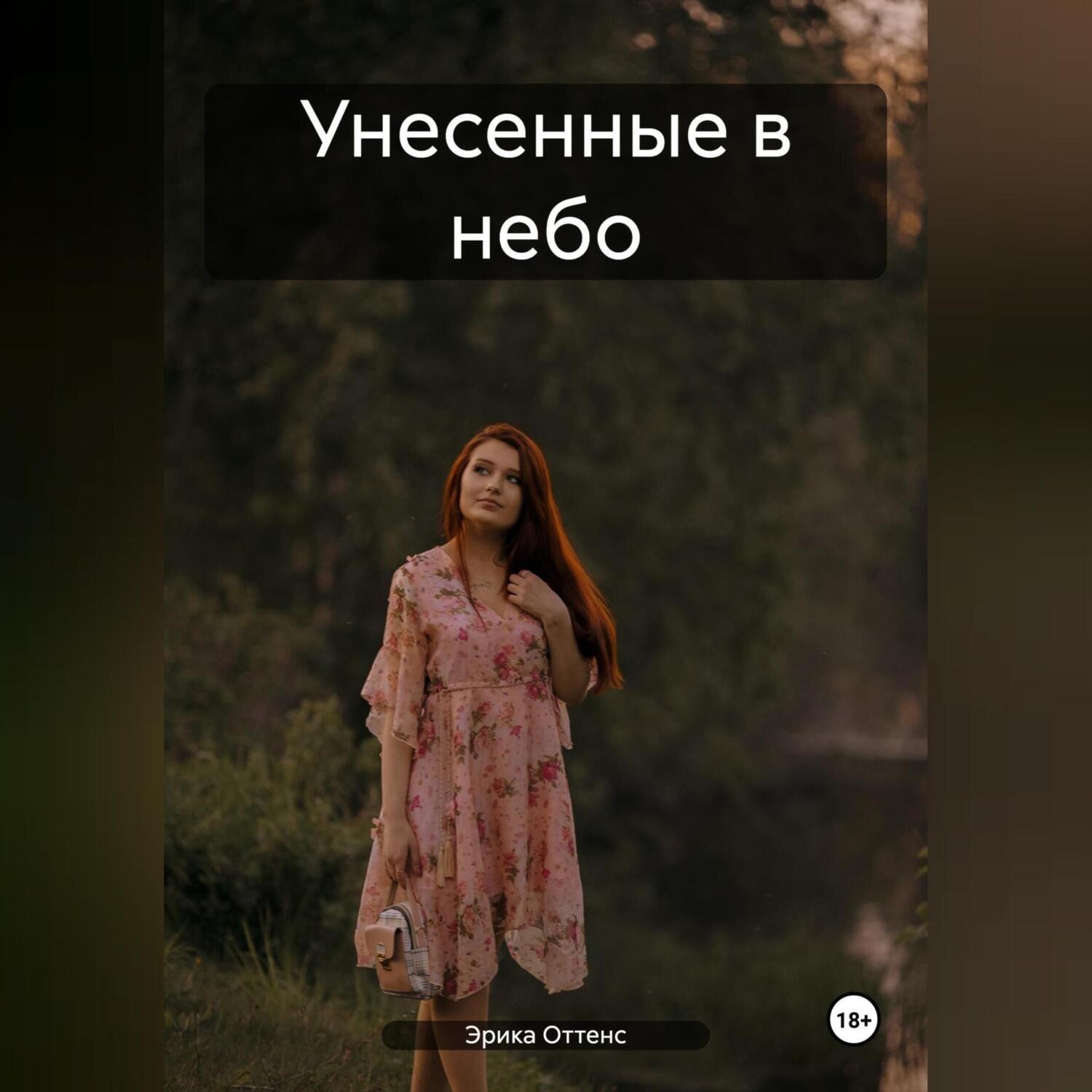 Обложка книги «Унесенные в небо»
