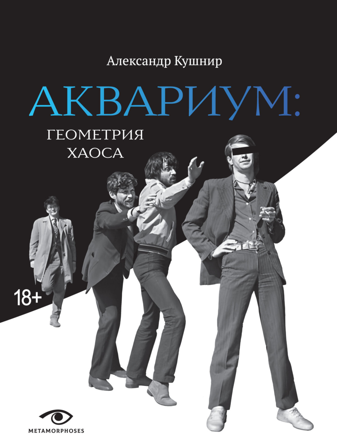 Обложка книги ««Аквариум»: геометрия хаоса»