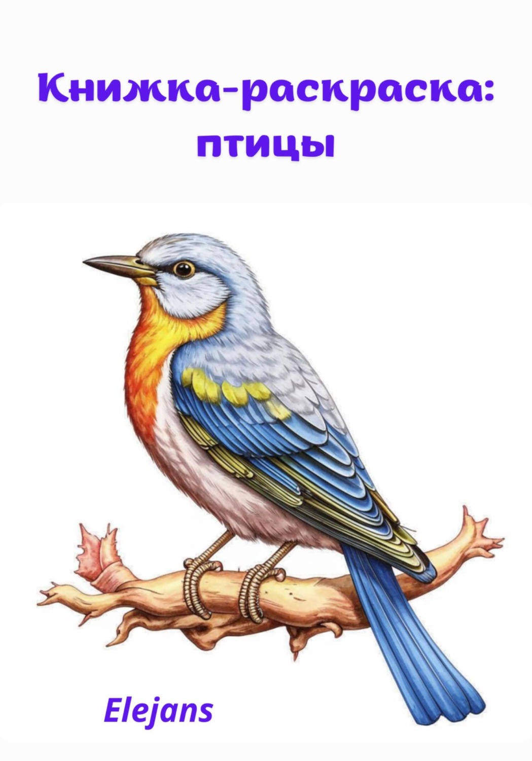 Обложка книги «Книжка-раскраска: птицы»
