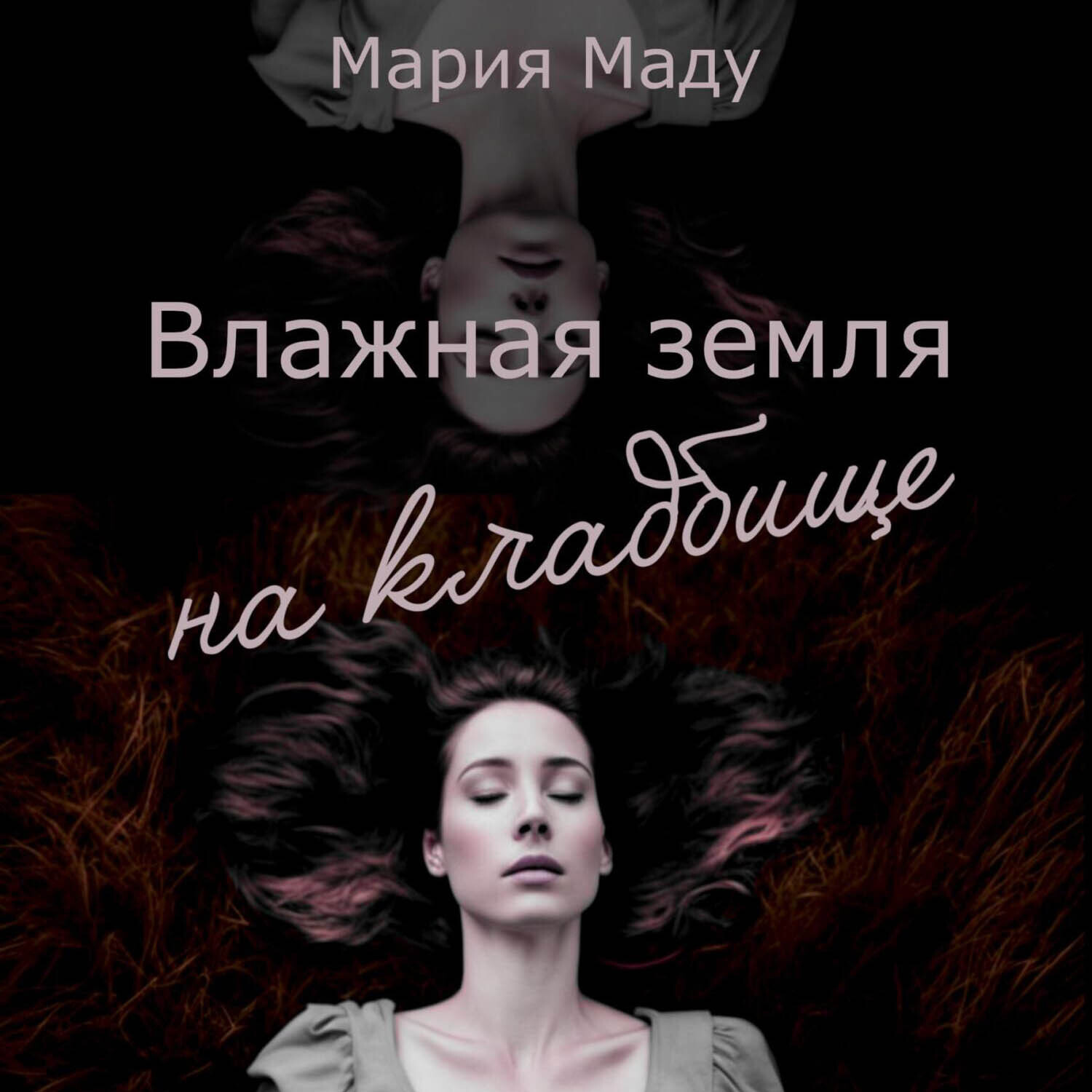 Обложка книги «Влажная земля на кладбище»