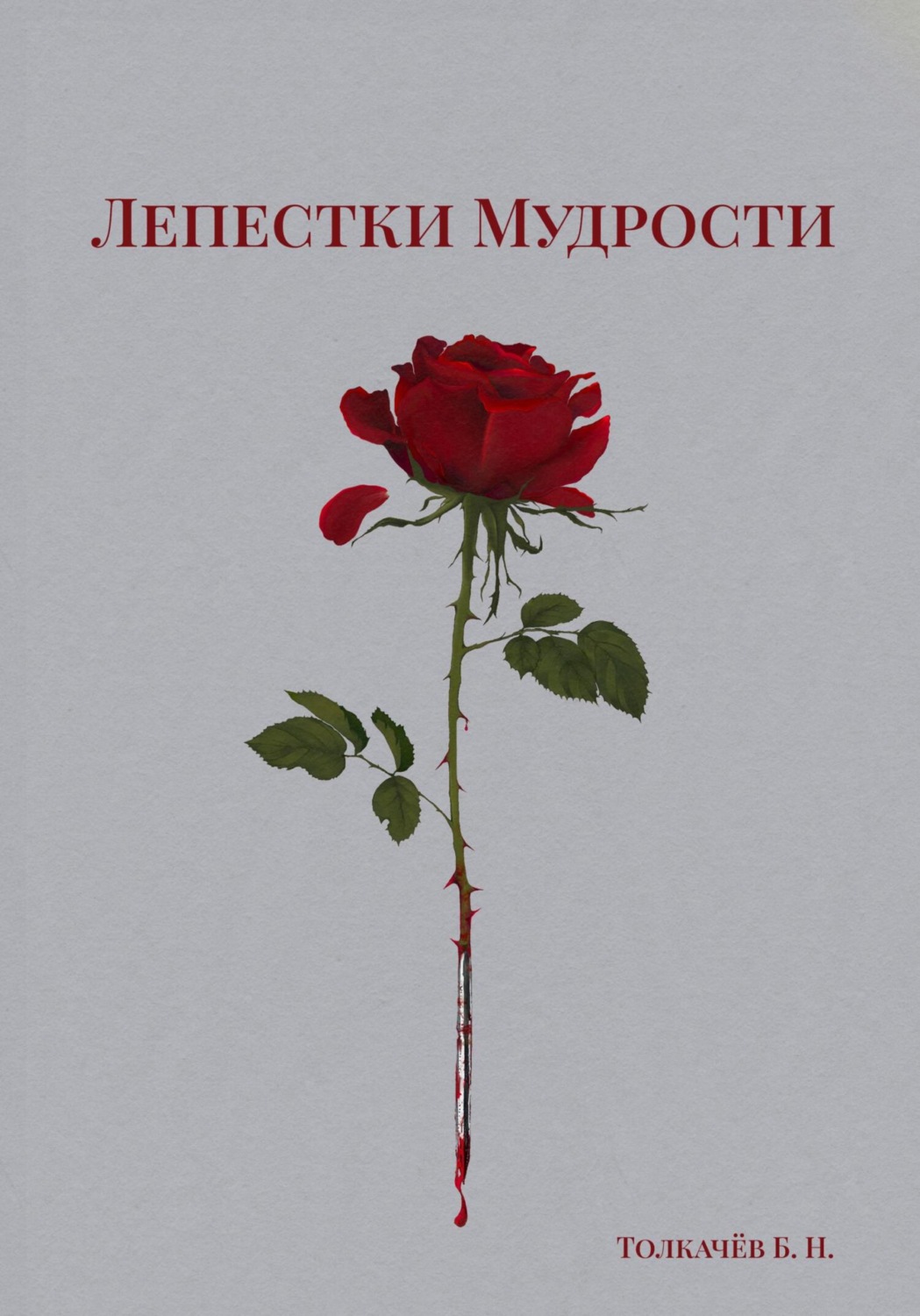 Обложка книги «Лепестки Мудрости»