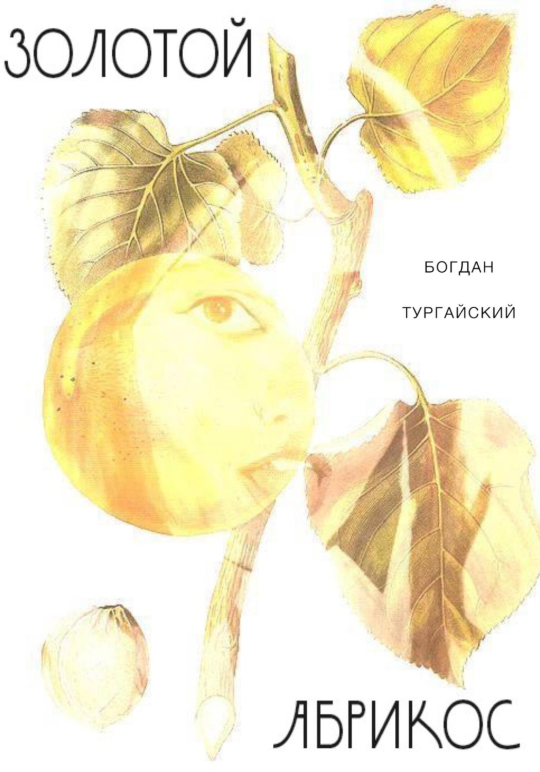Обложка книги «Золотой Абрикос»