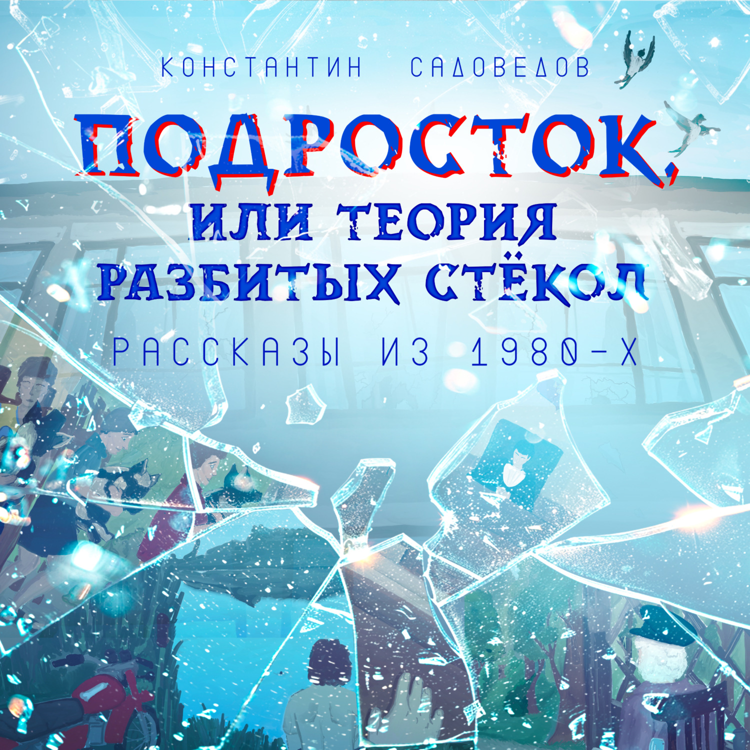 Обложка книги «Подросток, или Теория разбитых стёкол»