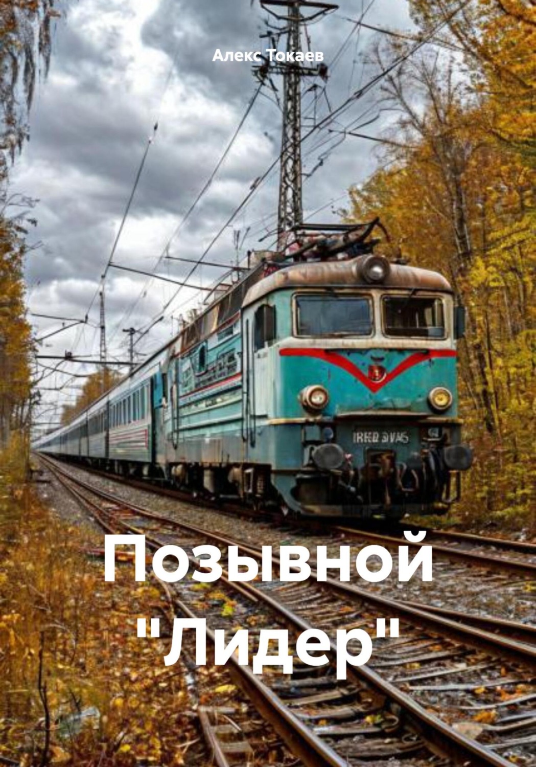 Обложка книги «Позывной «Лидер»»