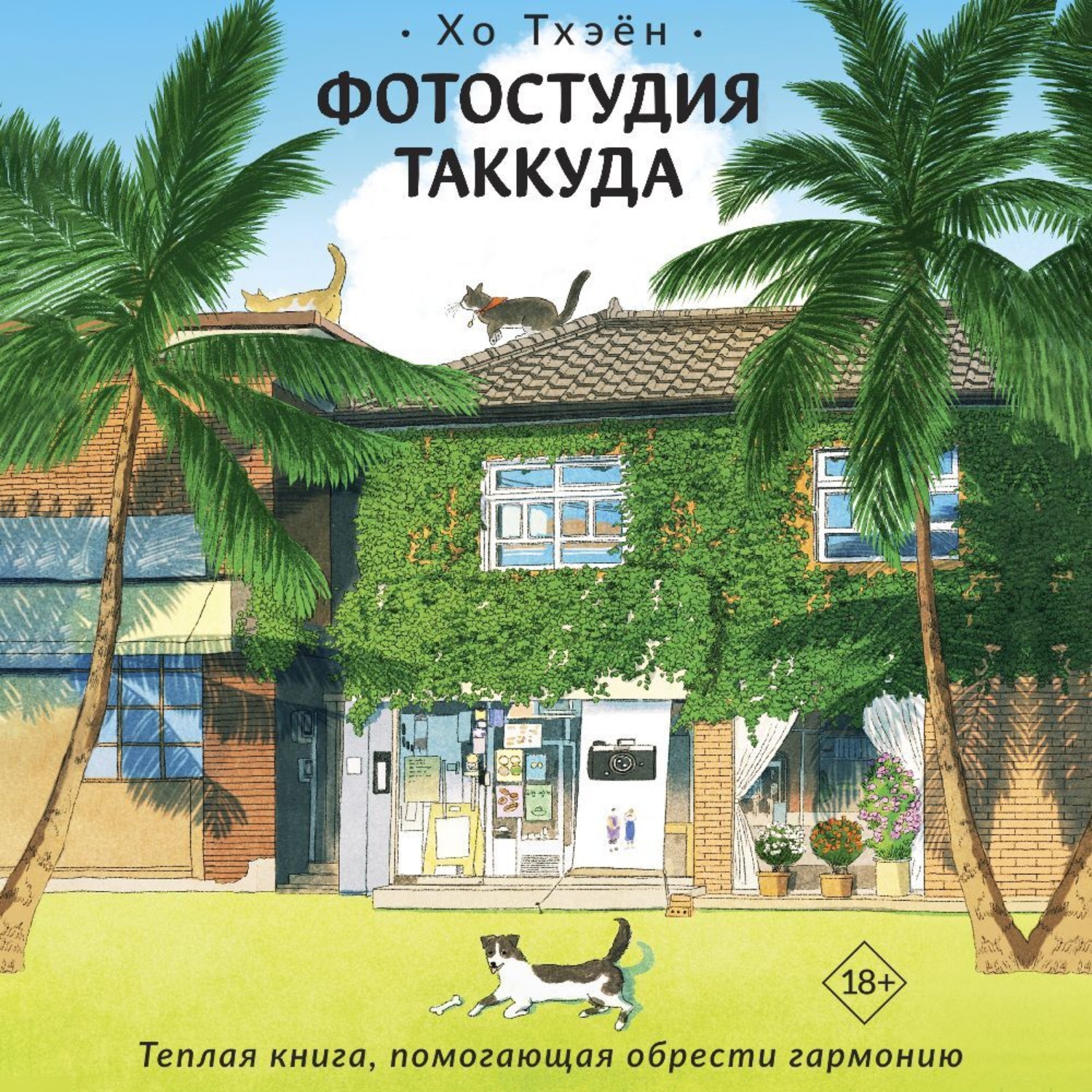 Обложка книги «Фотостудия Таккуда»