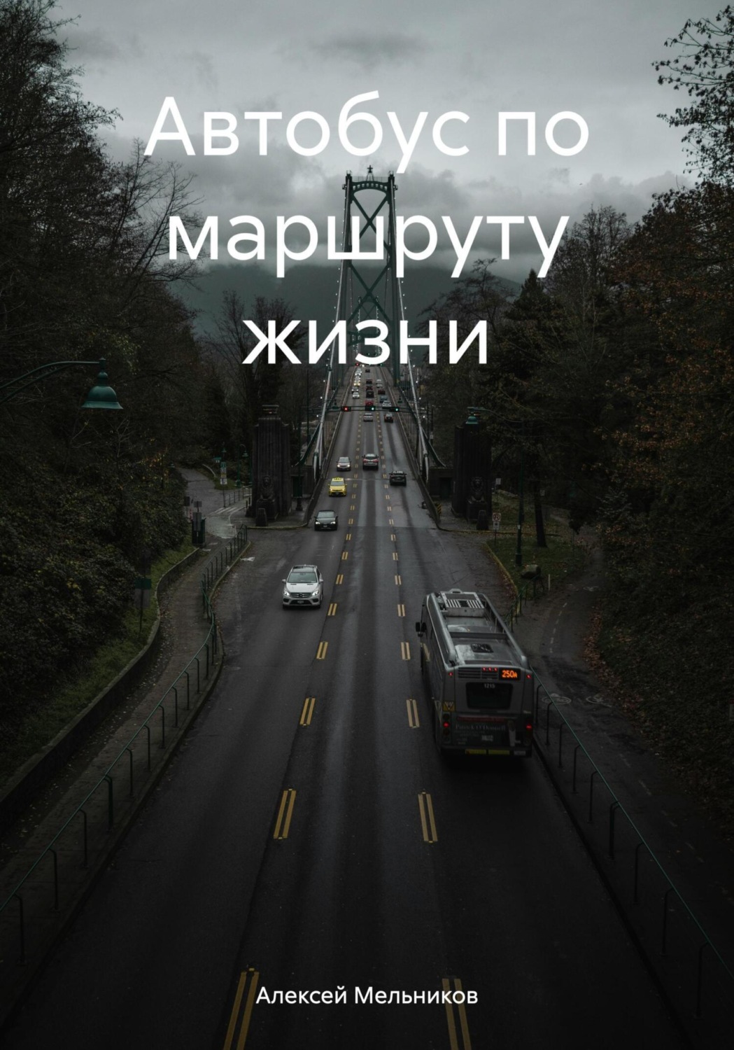 Обложка книги «Автобус по маршруту жизни»